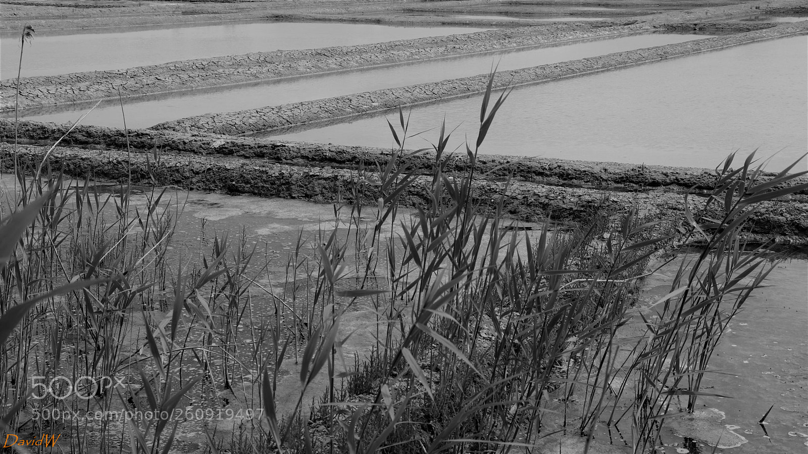 Canon EOS 80D sample photo. Marais salant guérande photography