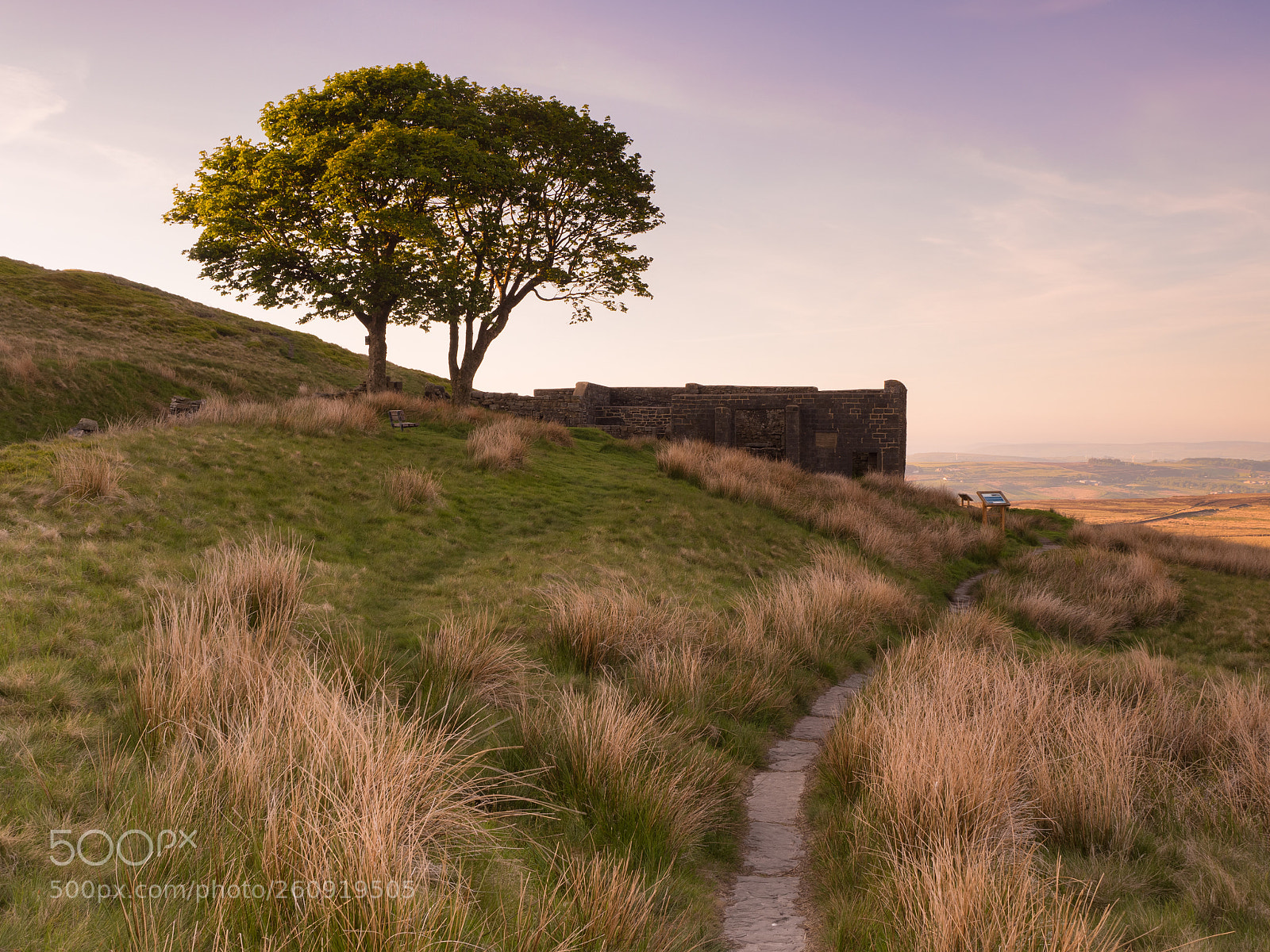 Olympus OM-D E-M10 II sample photo. Wuthering heights photography