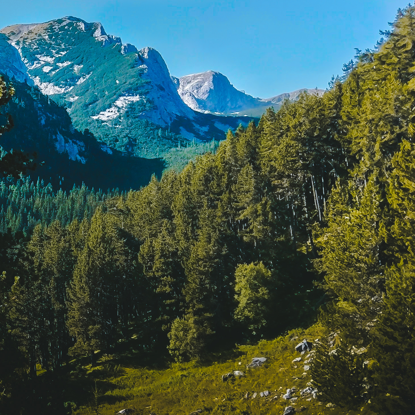 HTC 10 sample photo. Pirin mountains, bulgaria photography