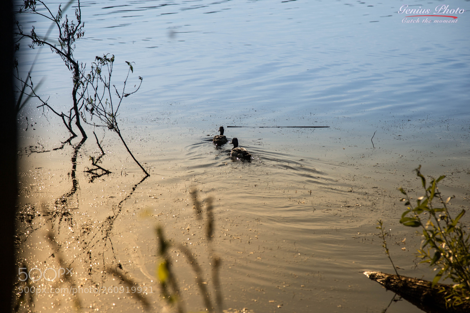 Canon EOS 6D sample photo. Trip in nature photography
