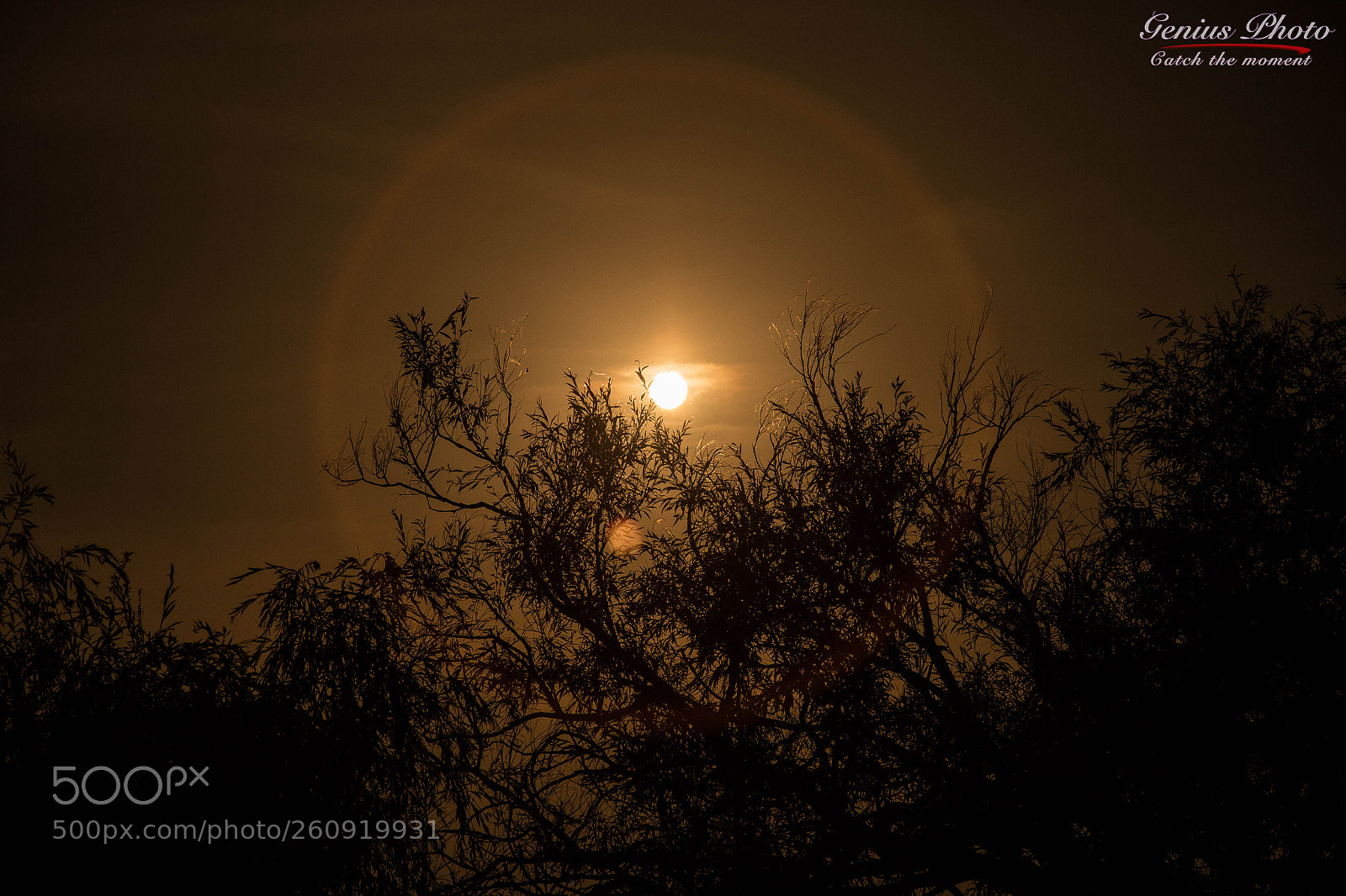 Canon EOS 6D sample photo. Trip in nature photography