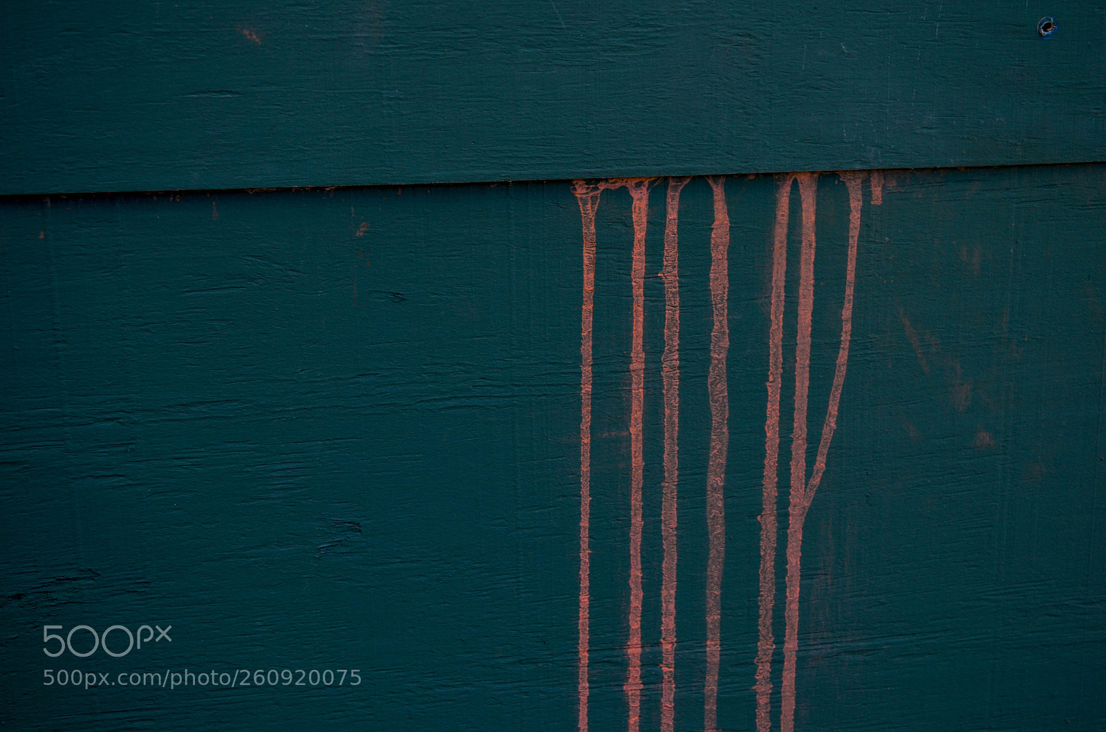 Nikon D5100 sample photo. Dripped paint photography