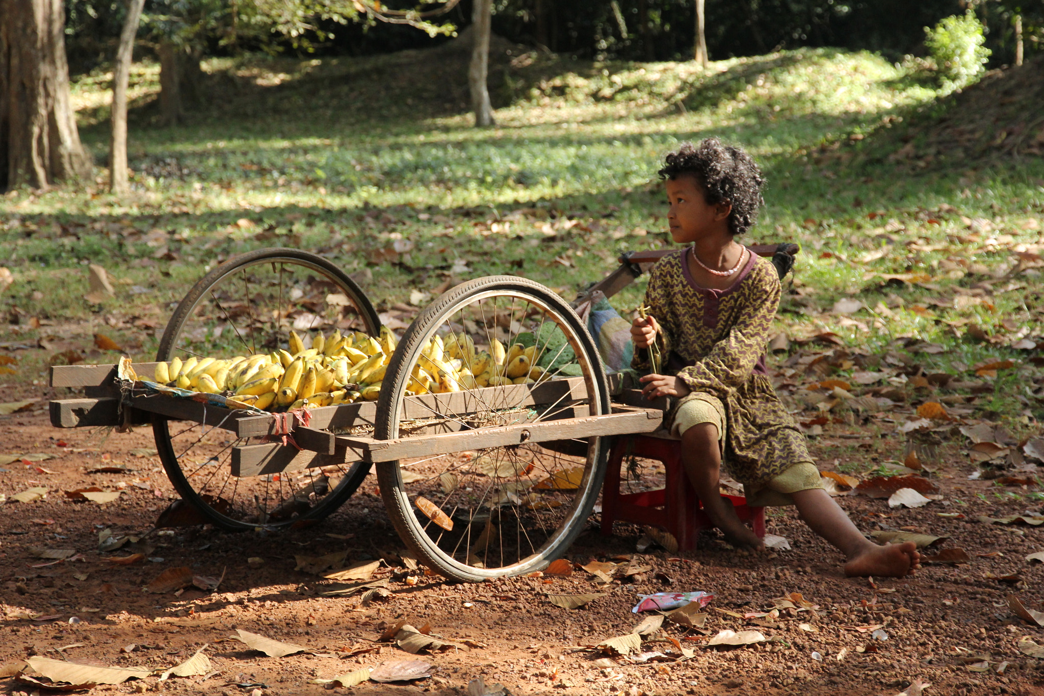 Canon EOS 60D sample photo. Banana seller photography