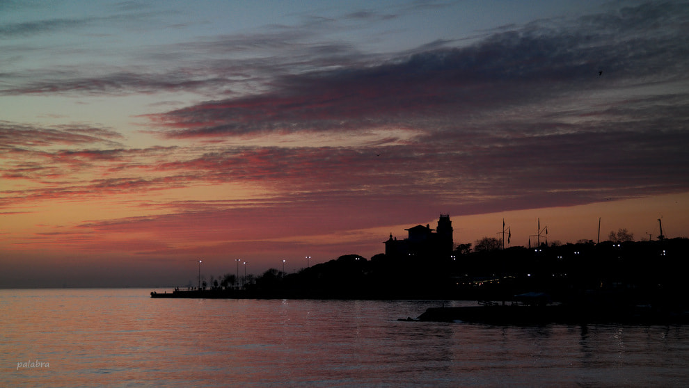 Samsung NX30 sample photo. ... photography