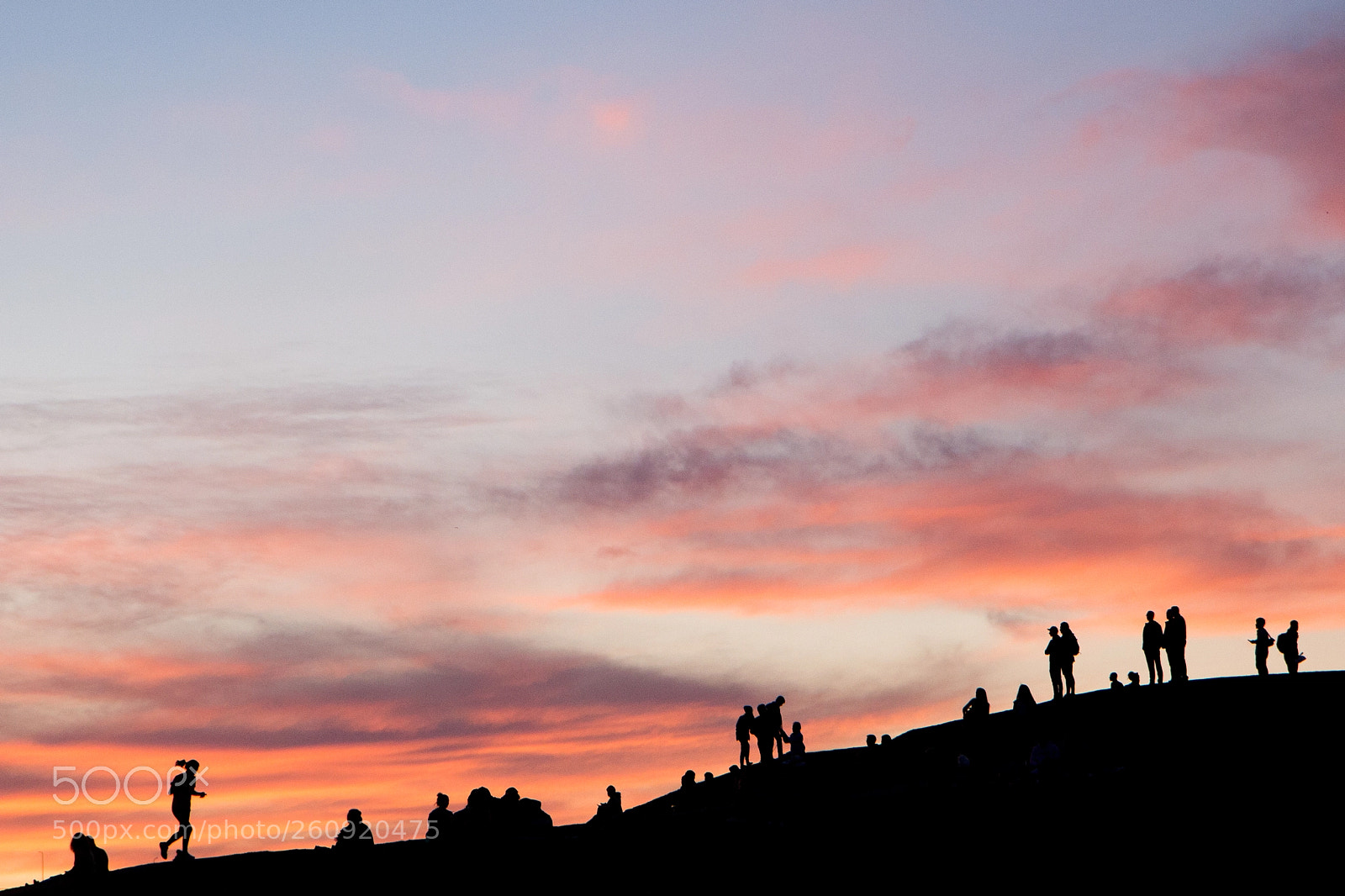 Canon EOS 60D sample photo. Gasworks park photography