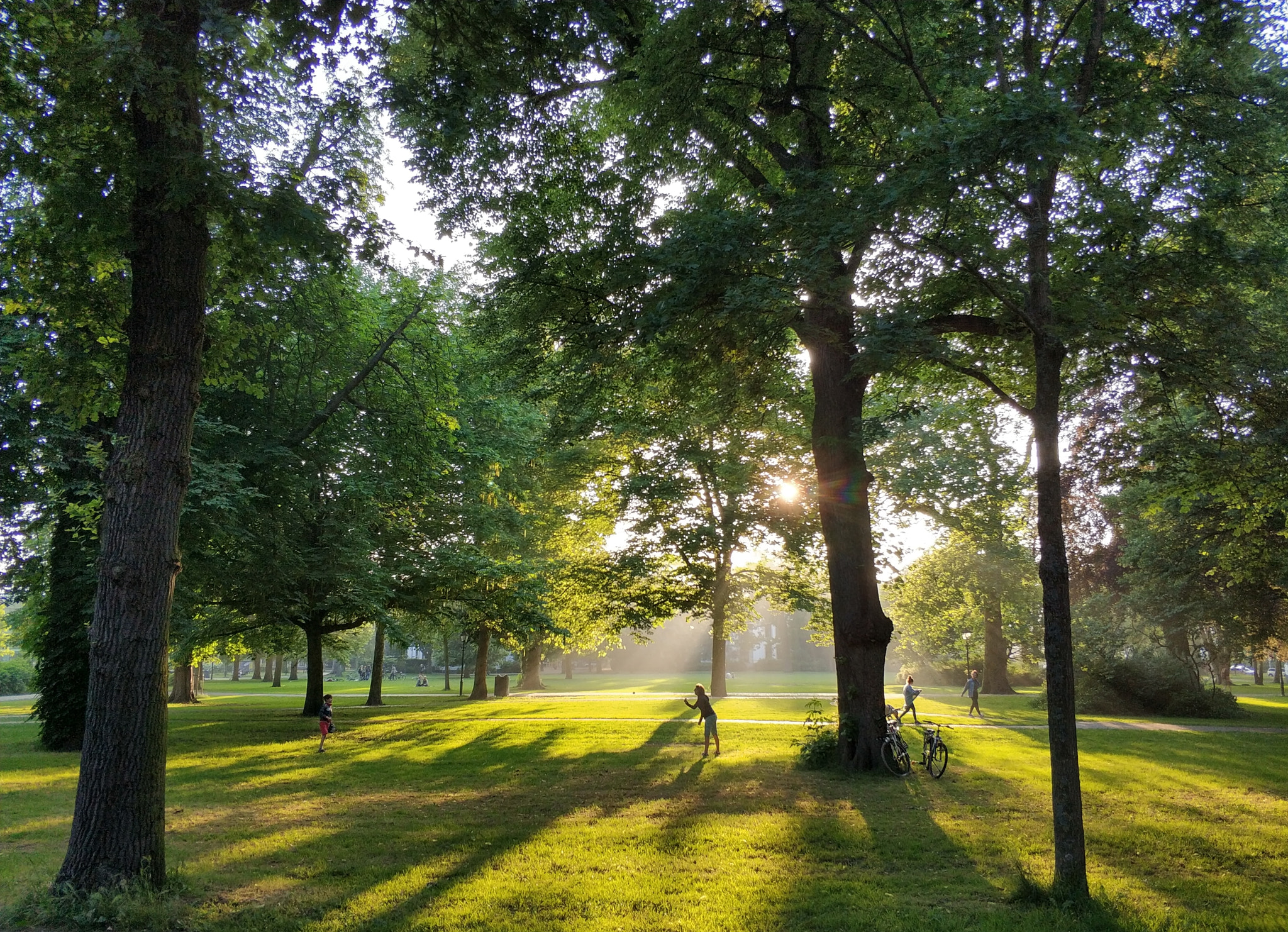 Xiaomi MI6 sample photo. Sunny in the park photography