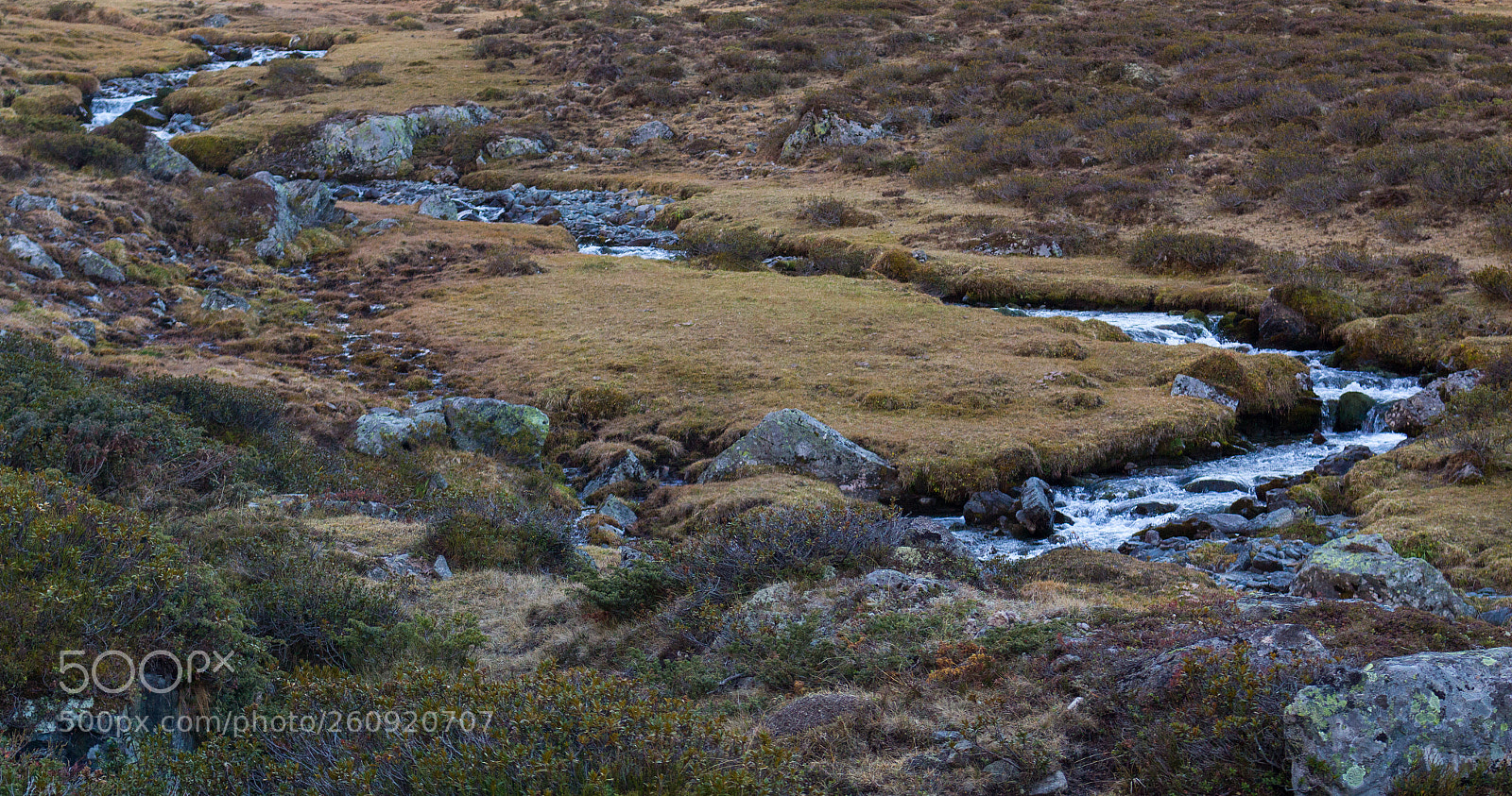 Canon EOS 700D (EOS Rebel T5i / EOS Kiss X7i) sample photo. Silvrettabach photography
