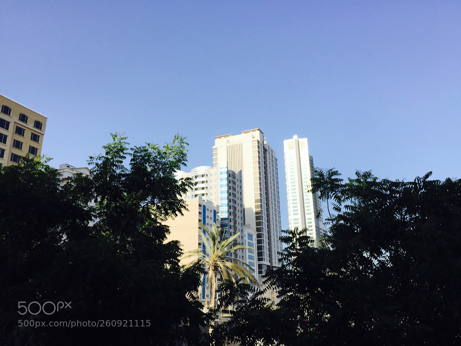 Apple iPhone 6 Plus sample photo. Untitled photography