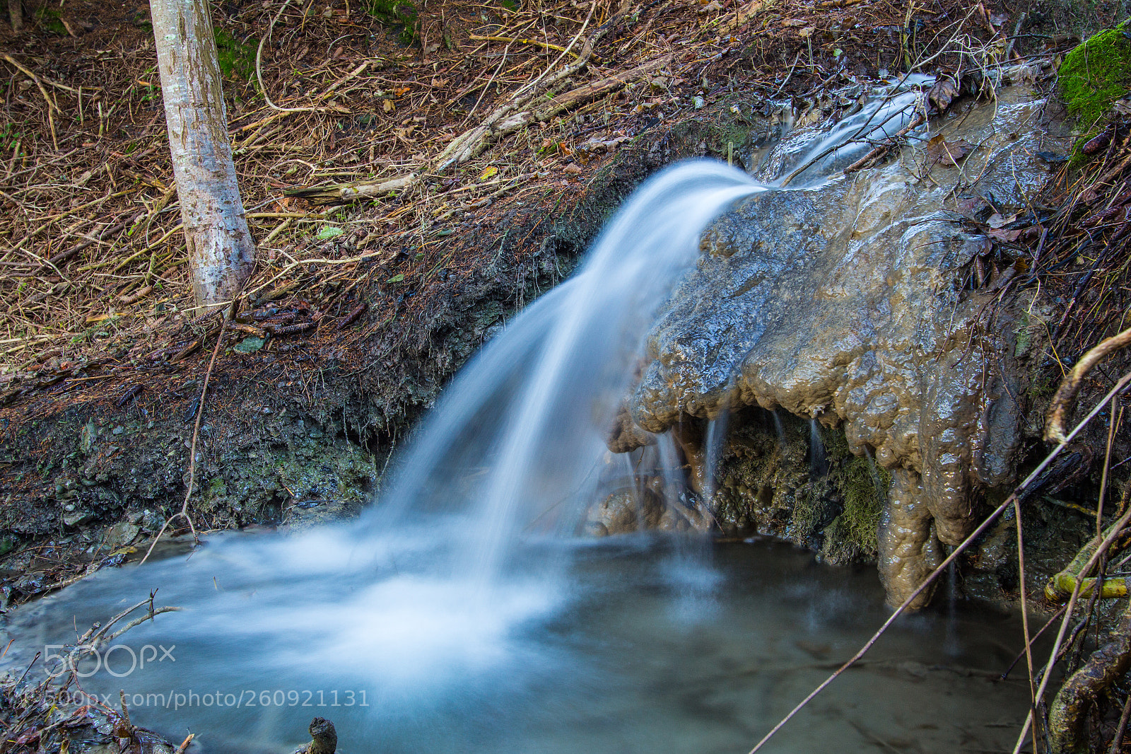 Canon EOS 700D (EOS Rebel T5i / EOS Kiss X7i) sample photo. Kleiner bach photography