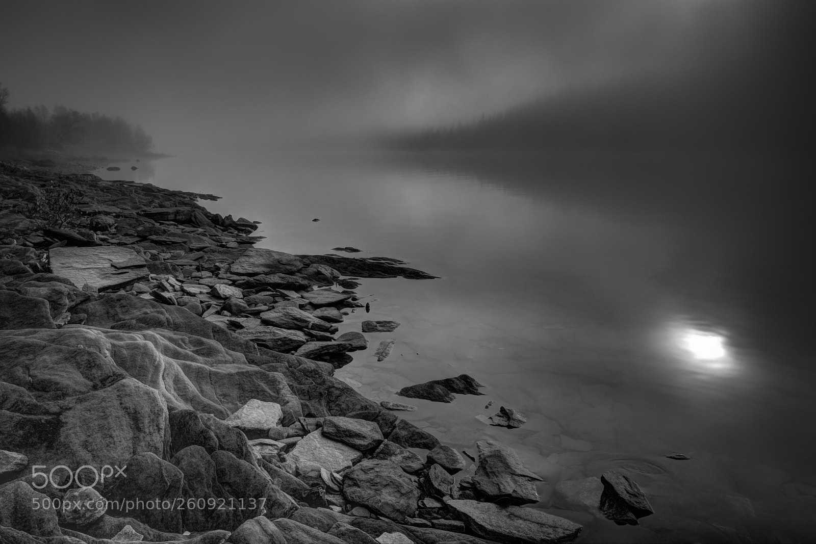 Nikon D7200 sample photo. Foggy morning by the photography