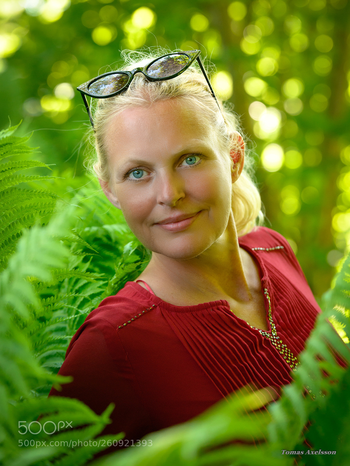 Nikon D800 sample photo. Green forest. photography