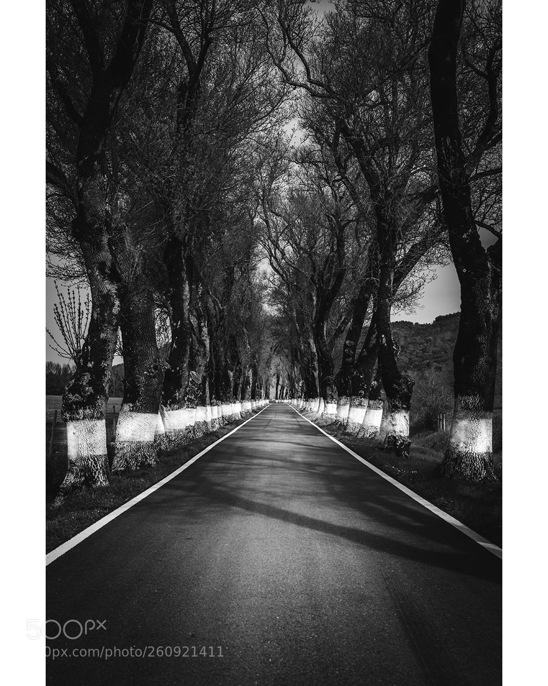 Fujifilm X-T2 sample photo. Untitled photography