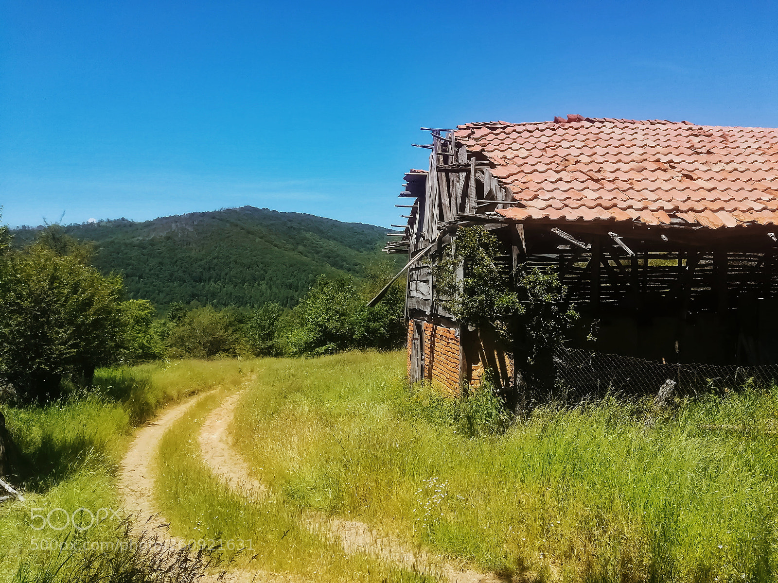 HUAWEI P10 lite sample photo. The hill and the photography