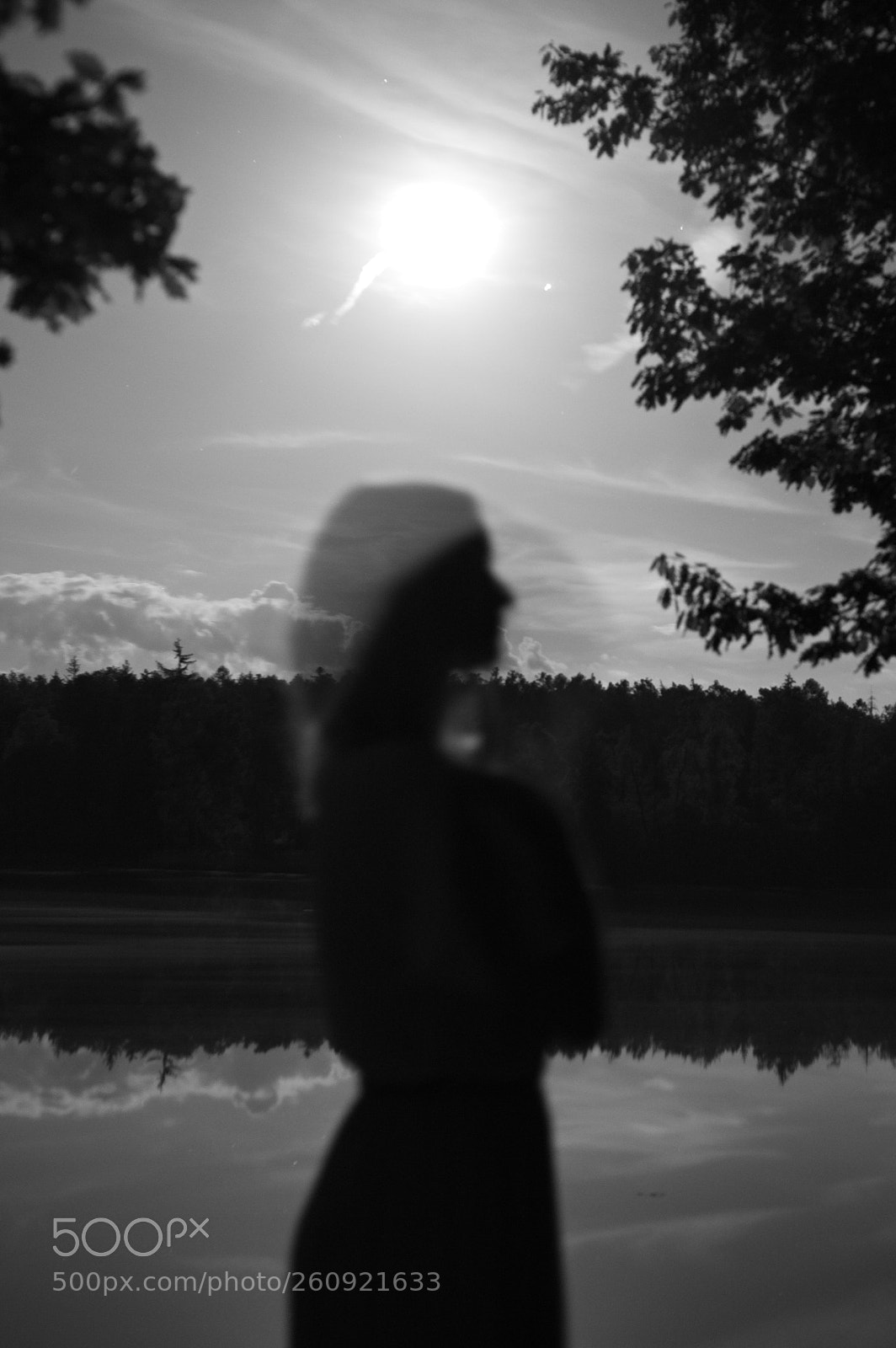 Nikon D700 sample photo. Full moon photography