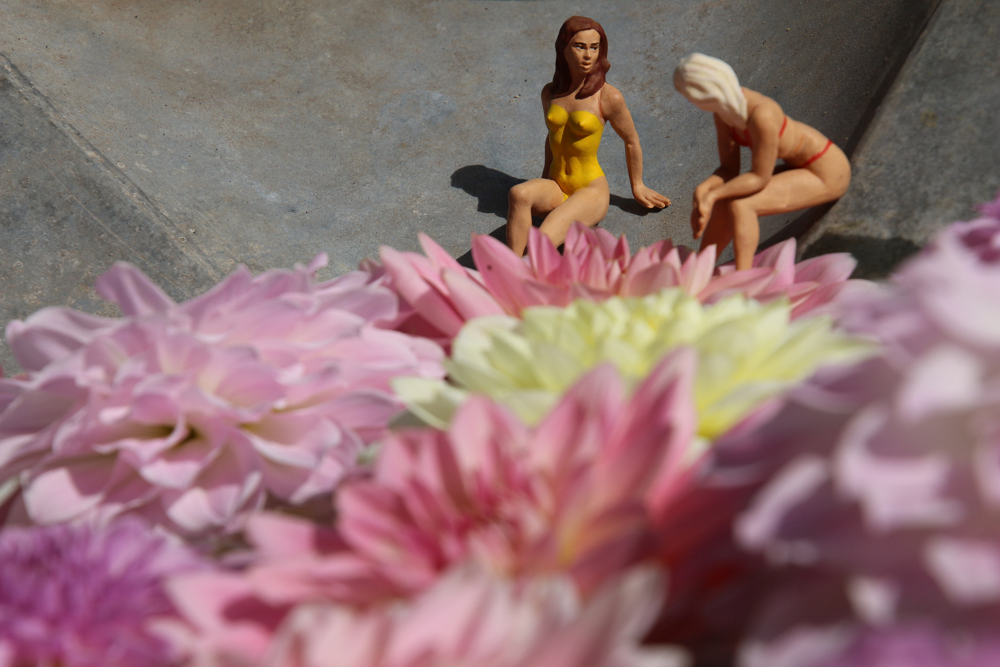 Canon EOS 700D (EOS Rebel T5i / EOS Kiss X7i) sample photo. Img photography