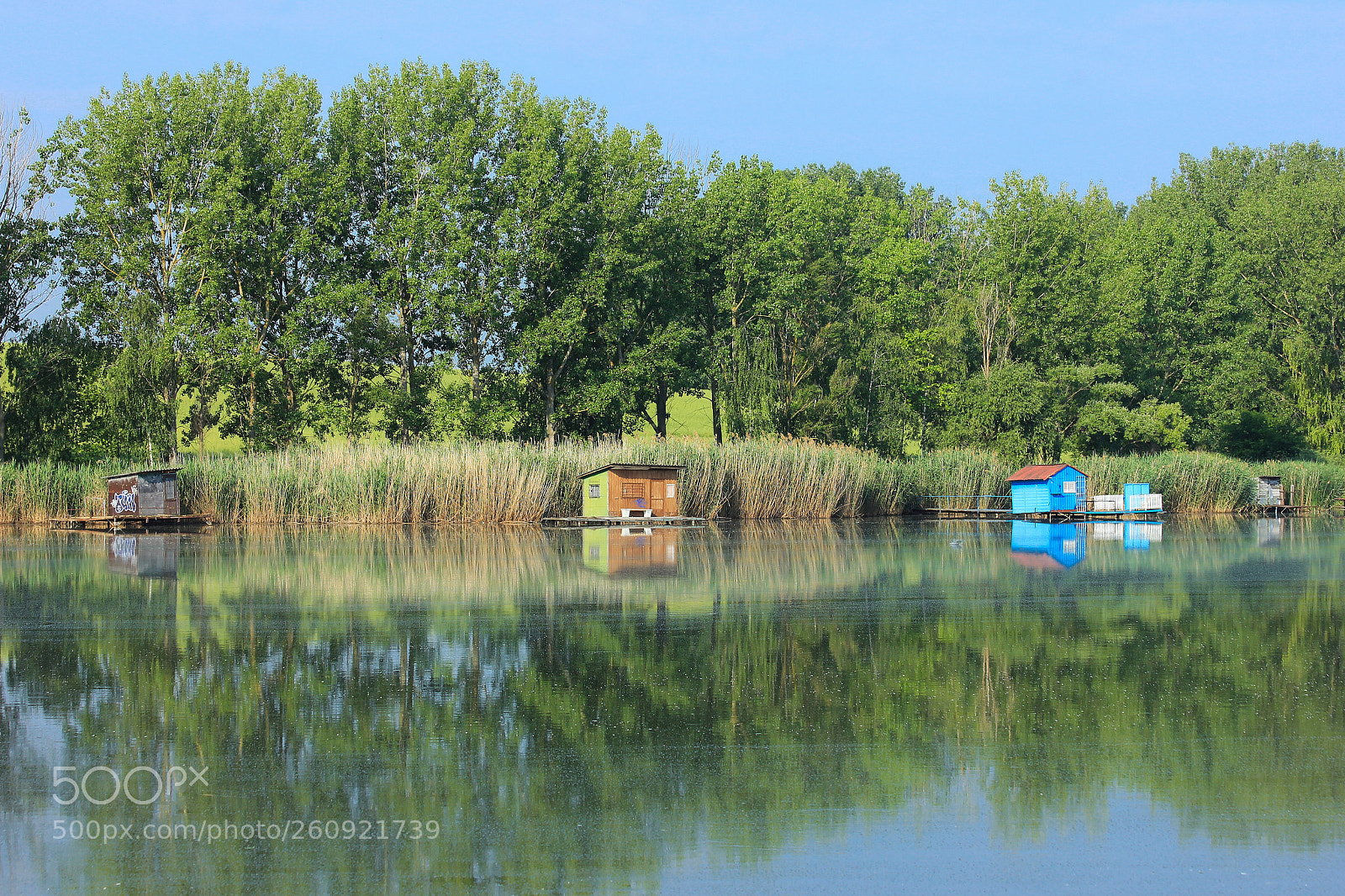 Canon EOS 600D (Rebel EOS T3i / EOS Kiss X5) sample photo. Morning calm photography