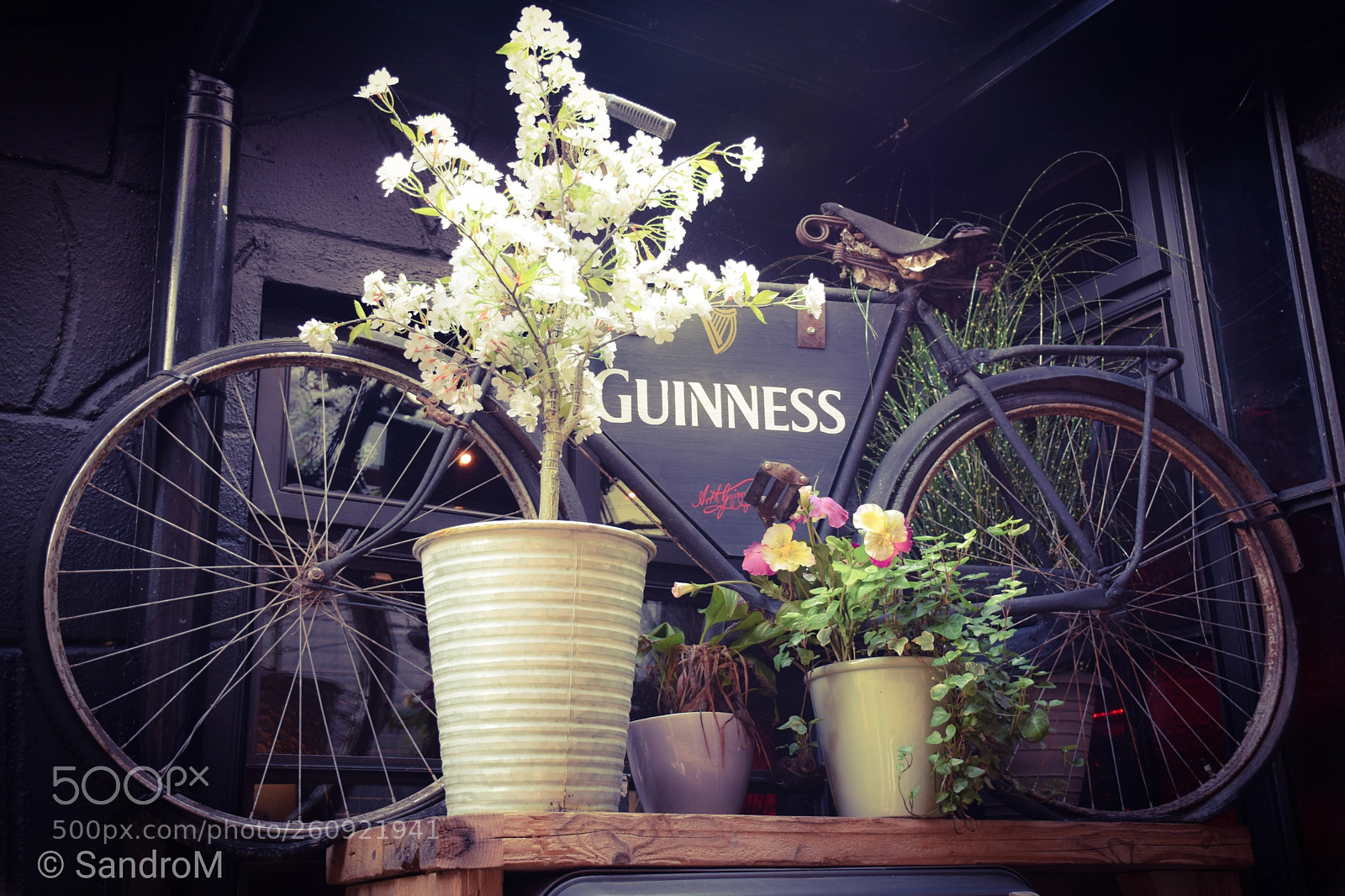 Nikon D5300 sample photo. Old guinness bicycle photography