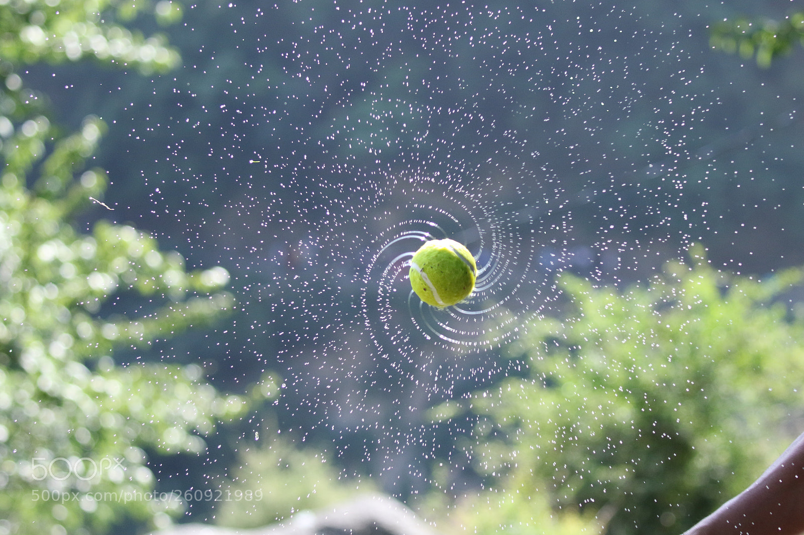 Canon EOS 7D Mark II sample photo. Untitled photography