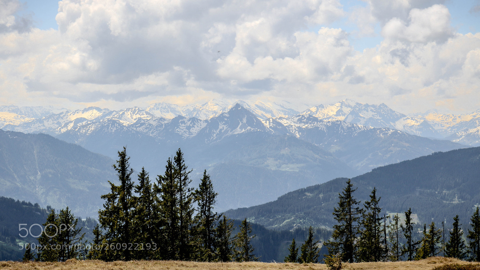 Canon EOS 750D (EOS Rebel T6i / EOS Kiss X8i) sample photo. Einfach nur in die photography