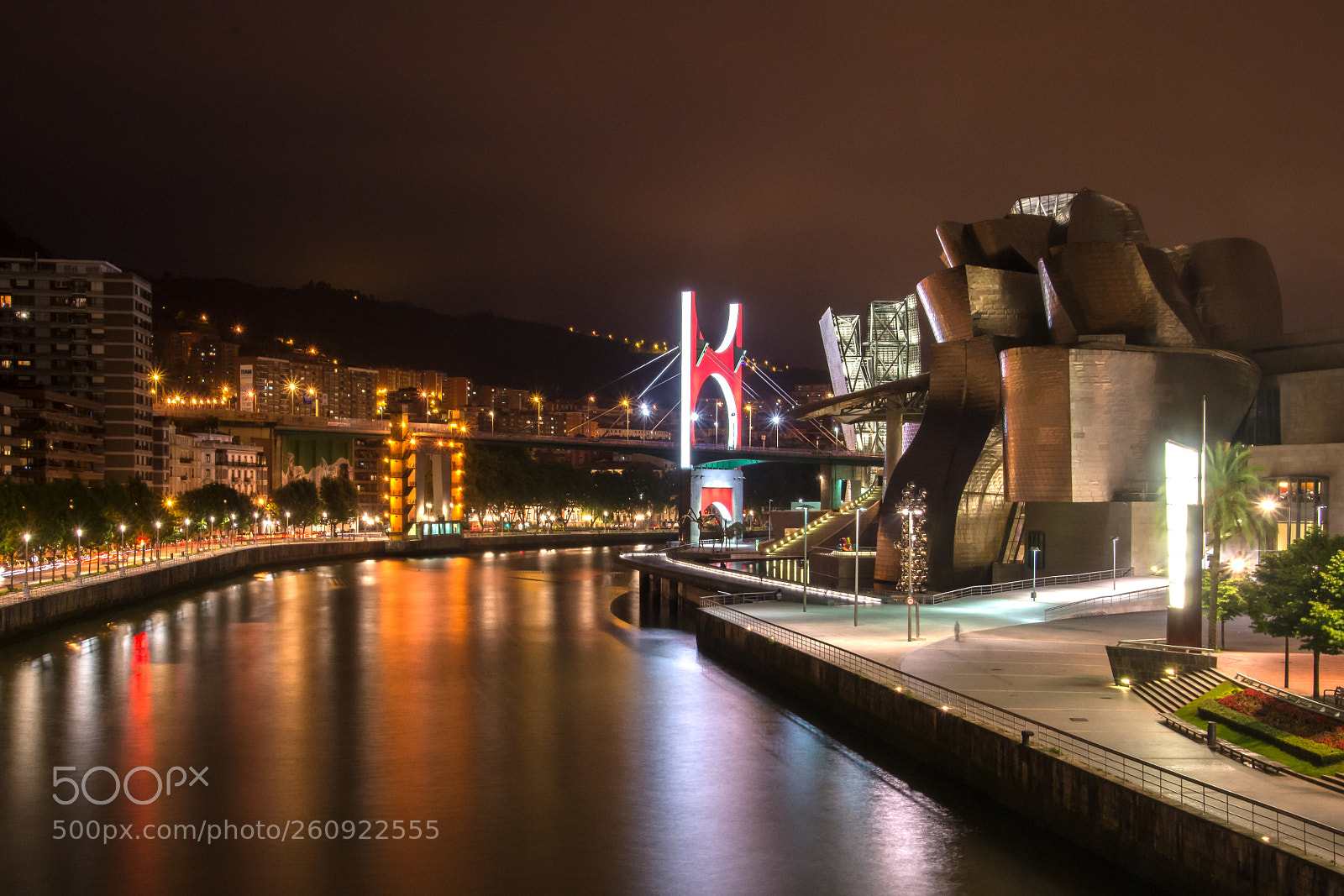 Nikon D7200 sample photo. Bilbao guggenheim at night photography