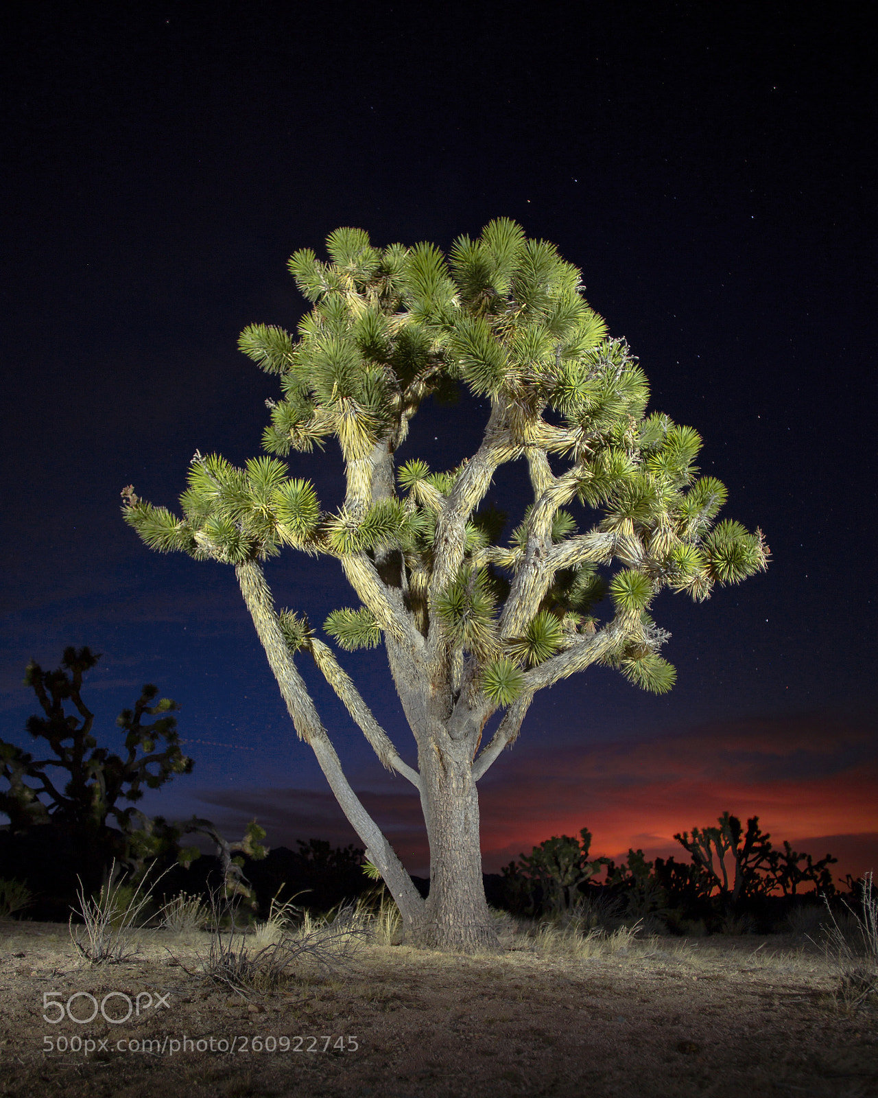 Canon EOS 6D sample photo. The last light of photography
