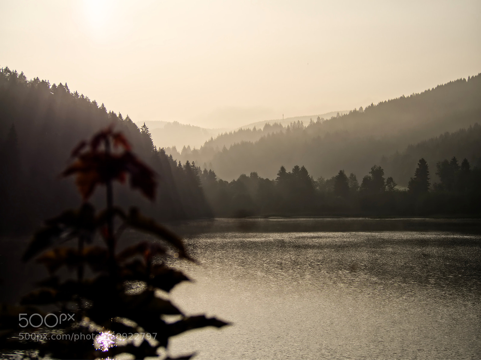 Olympus OM-D E-M10 sample photo. Misty lakeside photography