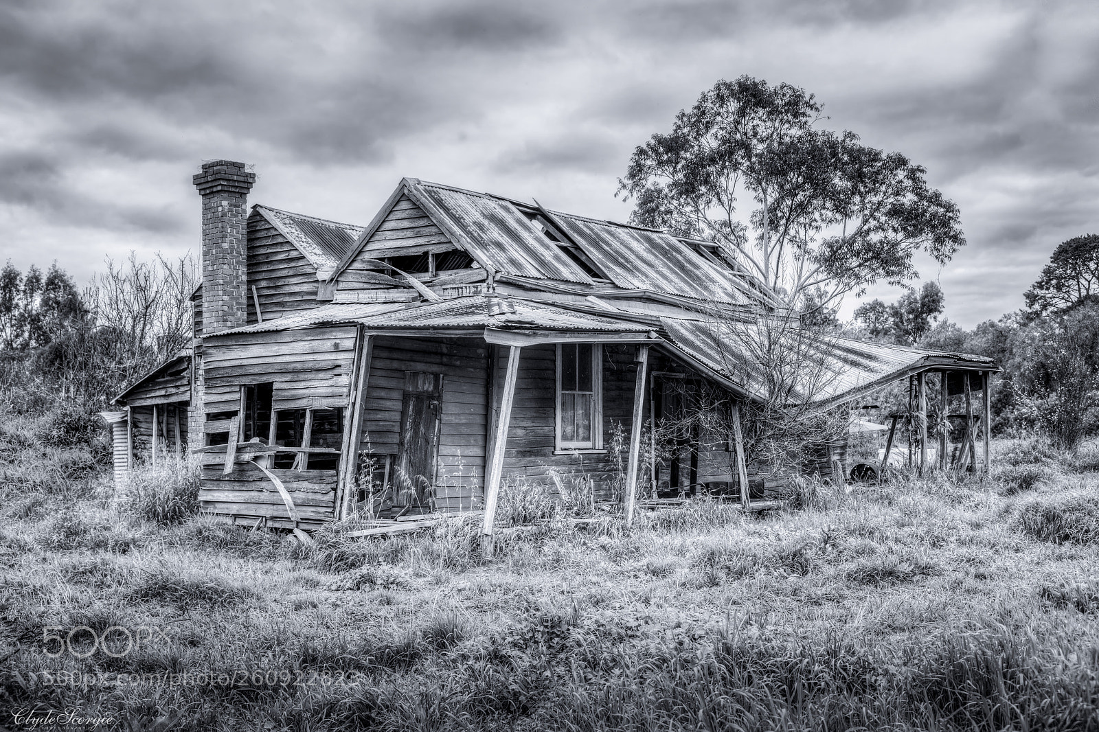 Nikon D810 sample photo. Seen better days photography