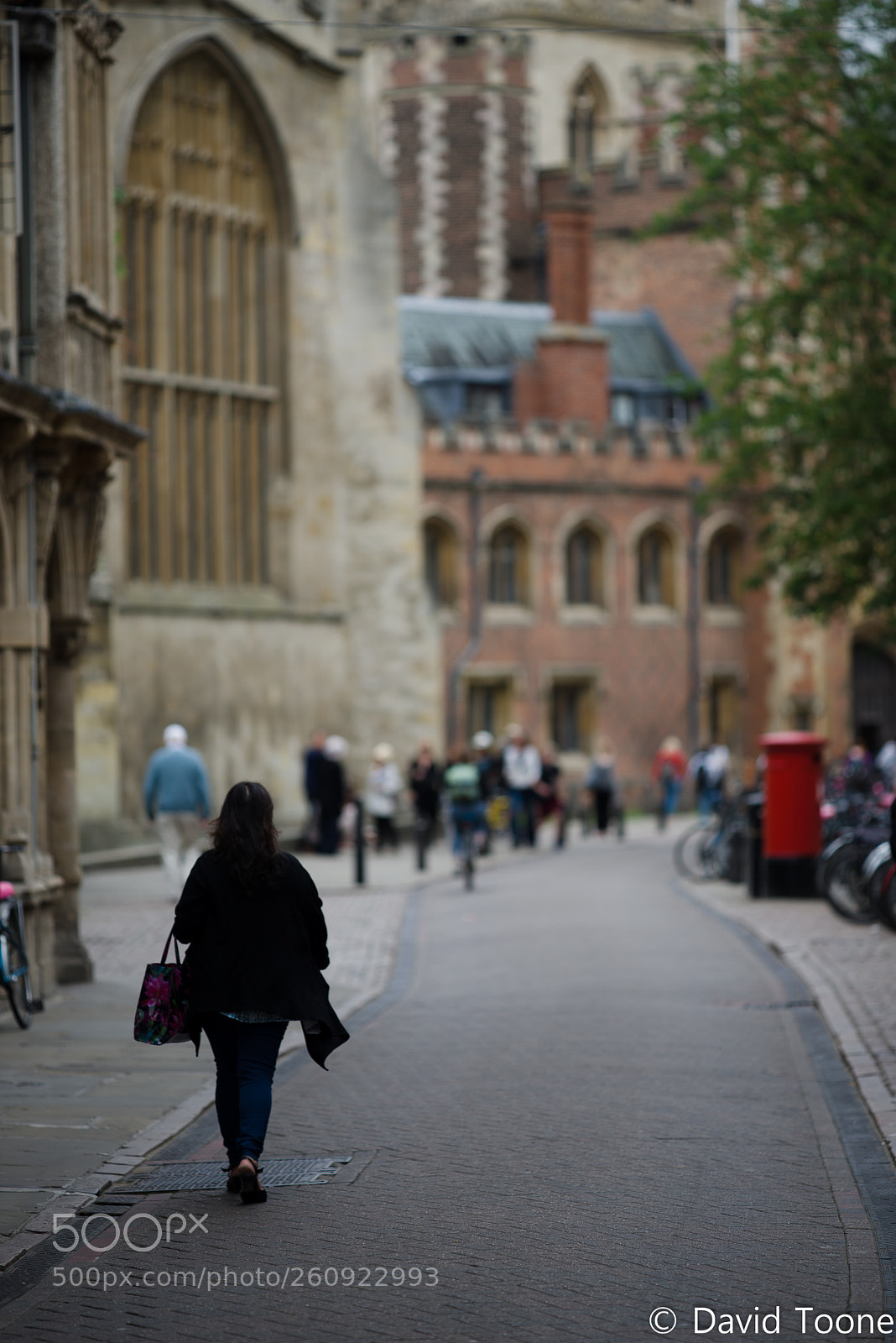 Nikon D800 sample photo. A walk through cambridge photography