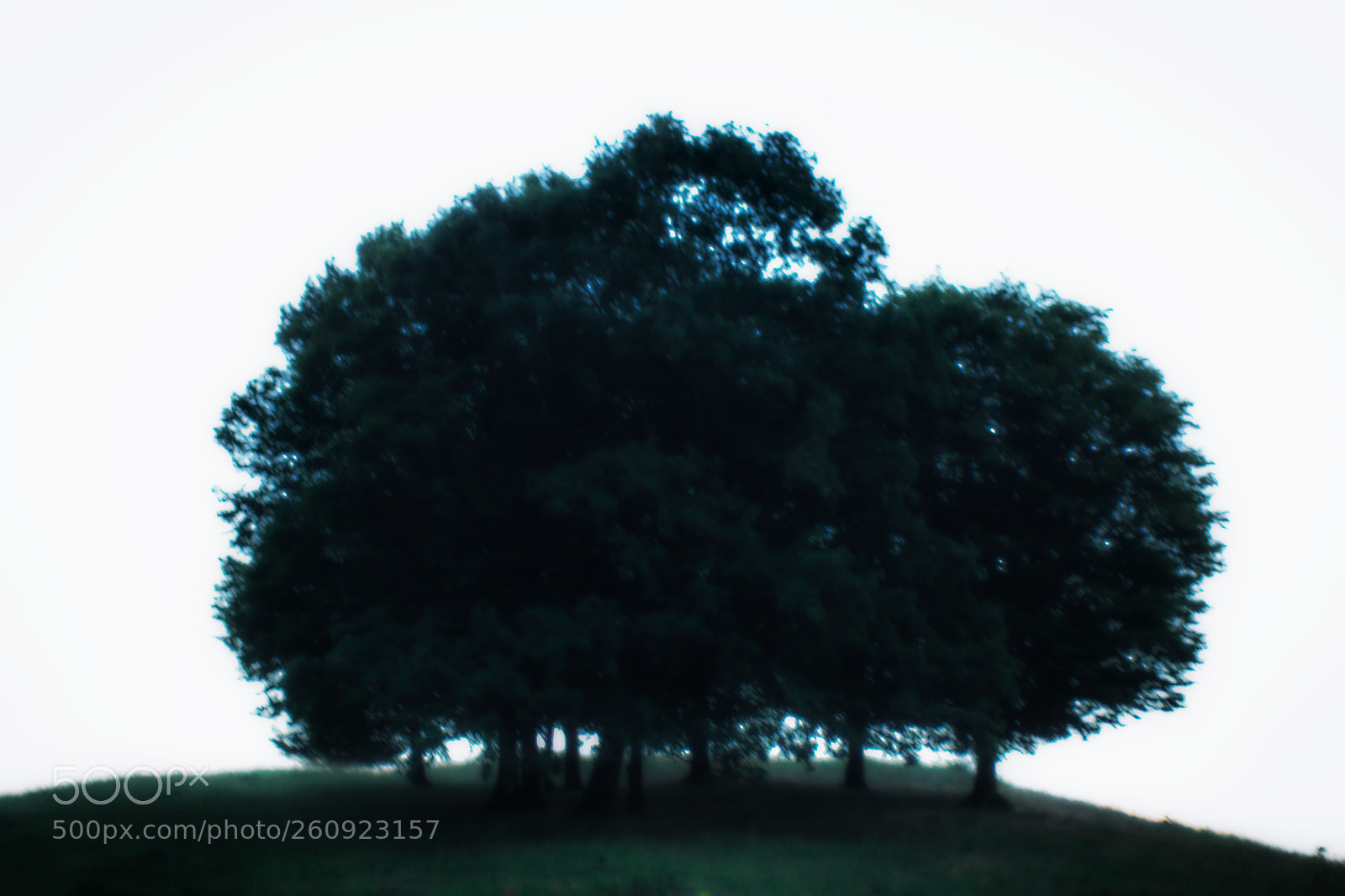 Canon EOS 70D sample photo. Untitled photography