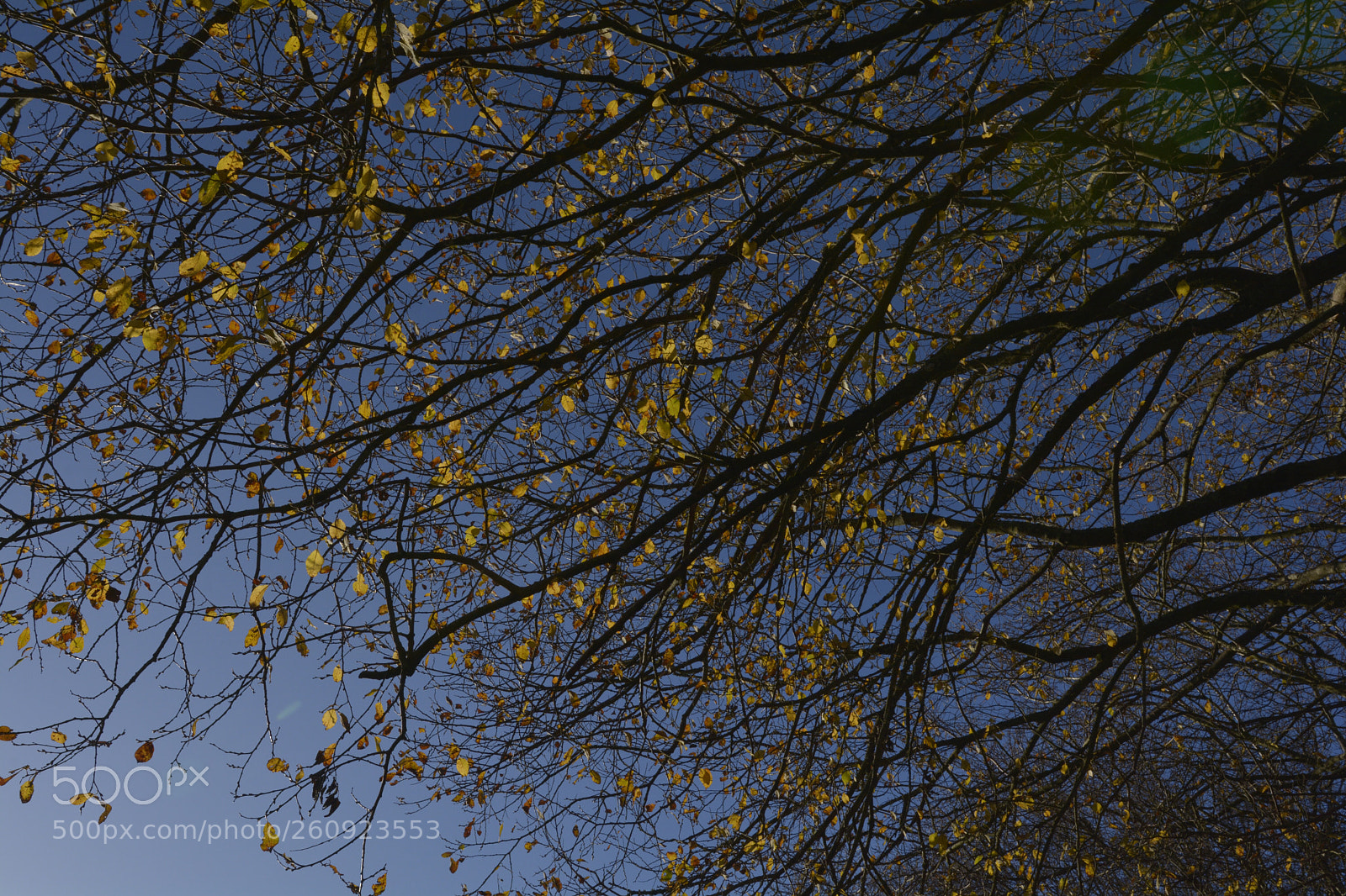 Nikon D7100 sample photo. Untitled photography
