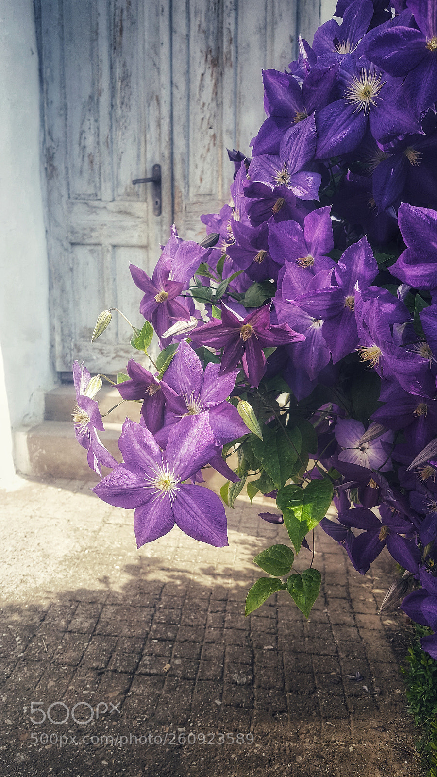 Samsung Galaxy Note5 sample photo. The door photography