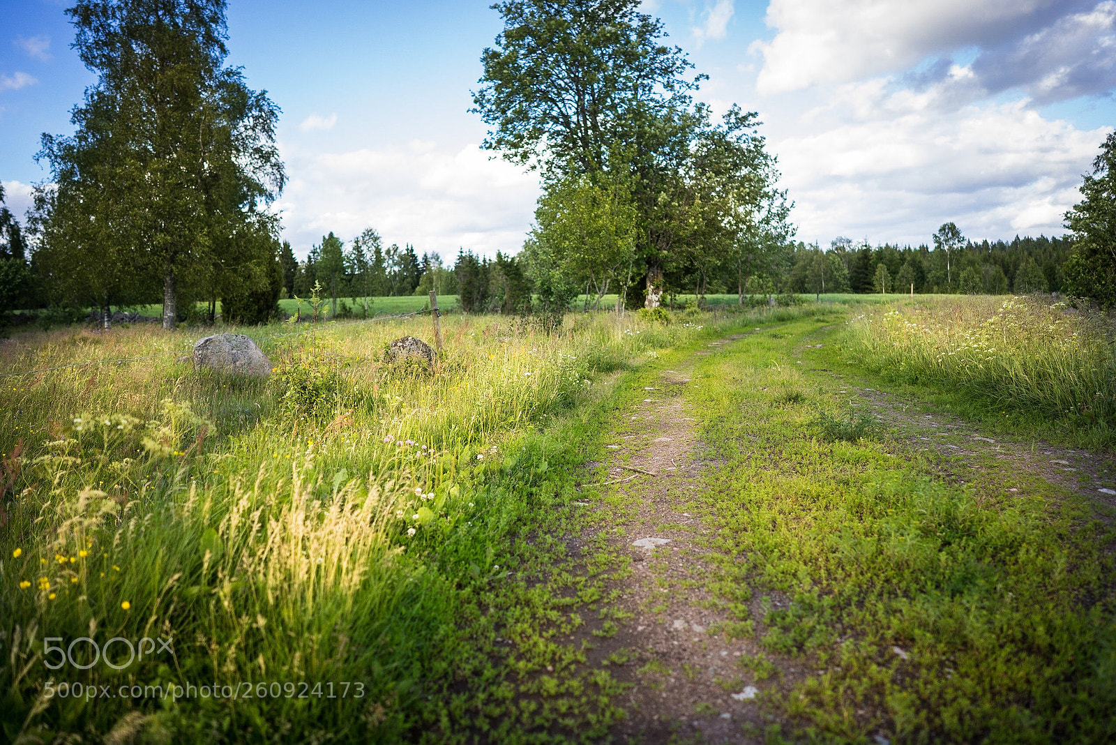 Sony a7R sample photo. Småland sweden  photography