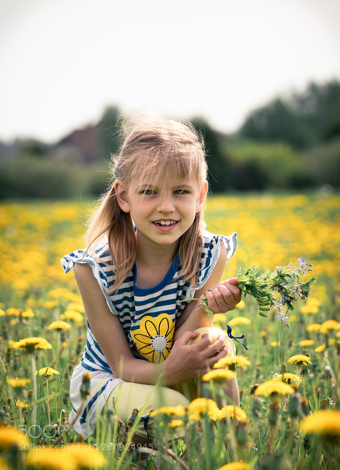 Sony a7R II sample photo. On the flower field photography