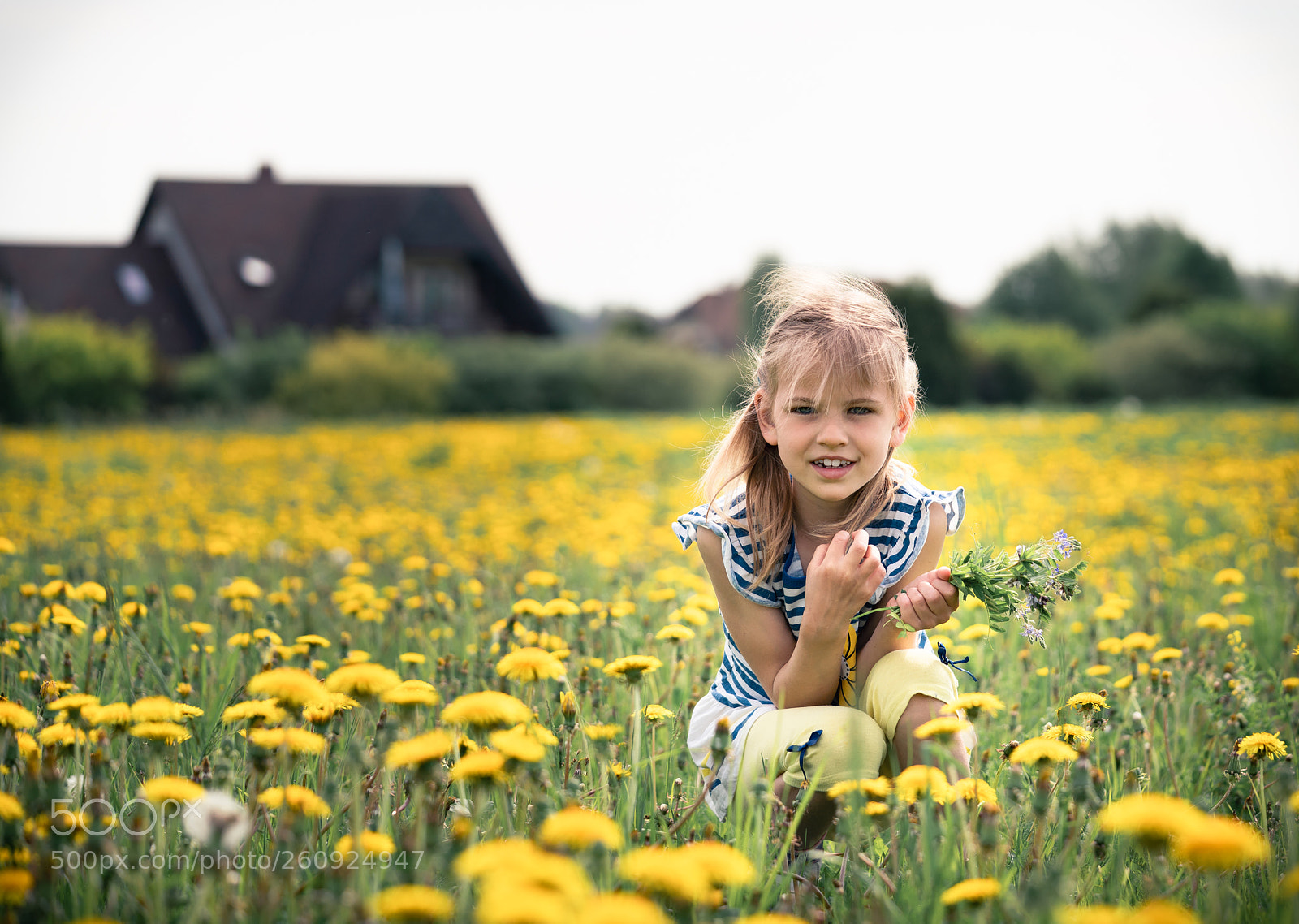 Sony a7R II sample photo. On the flower field photography