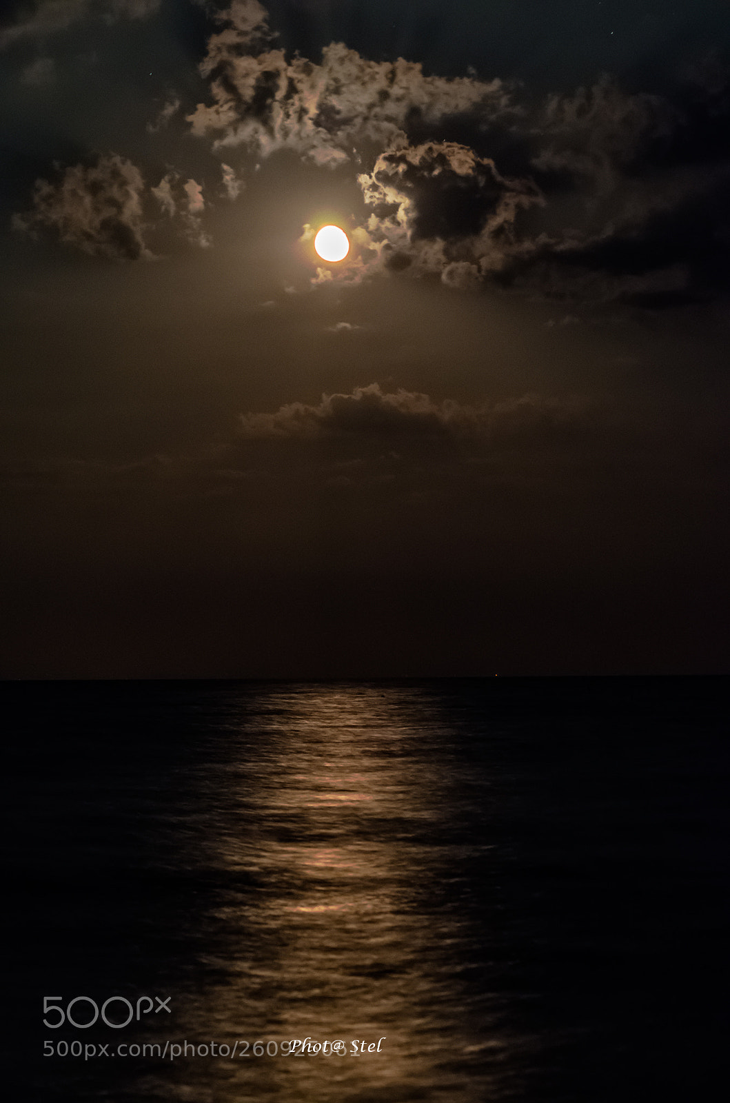 Nikon D5100 sample photo. Moonlight shadows photography