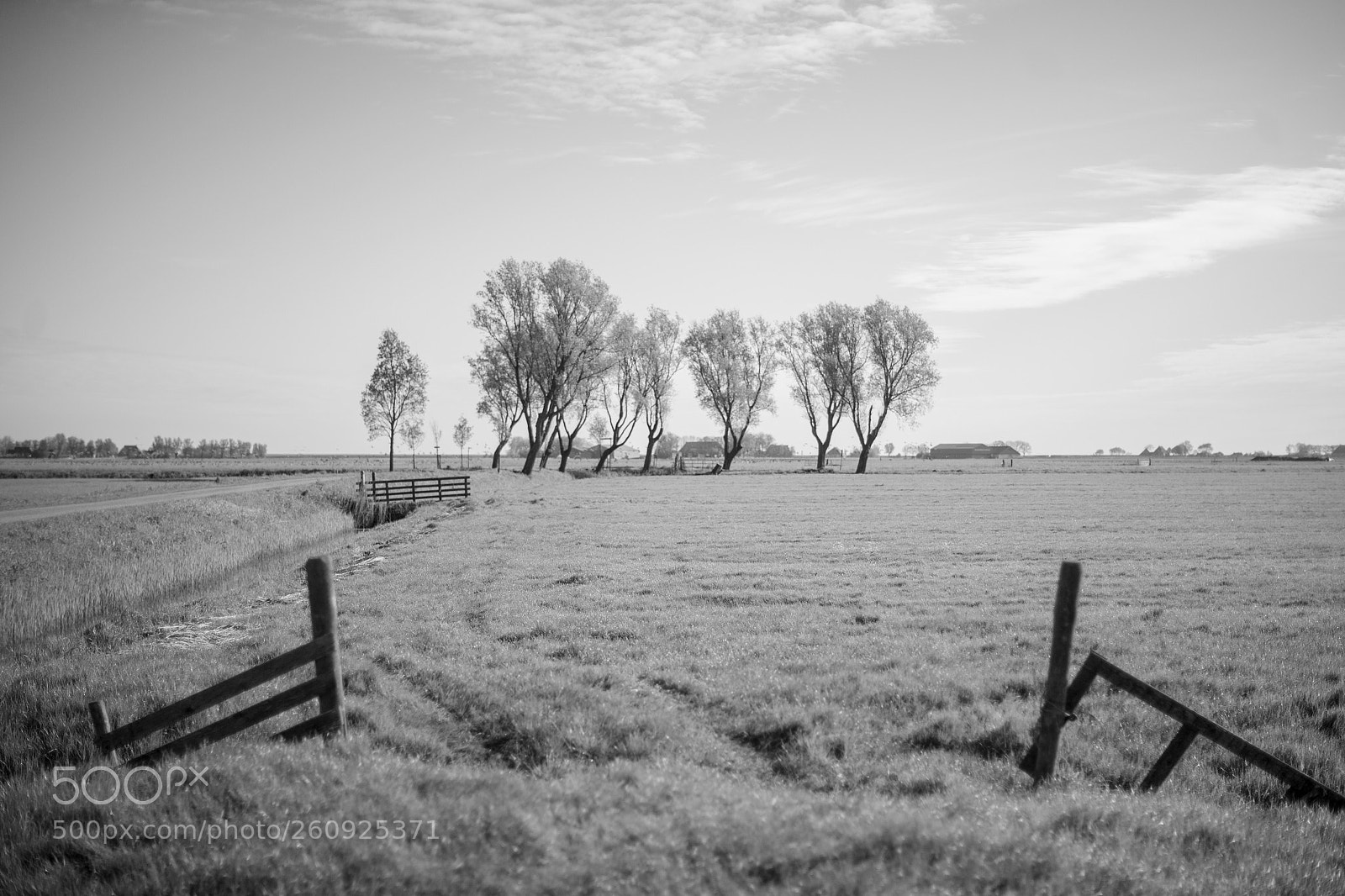 Canon EOS-1Ds Mark II sample photo. Fryske dyken photography