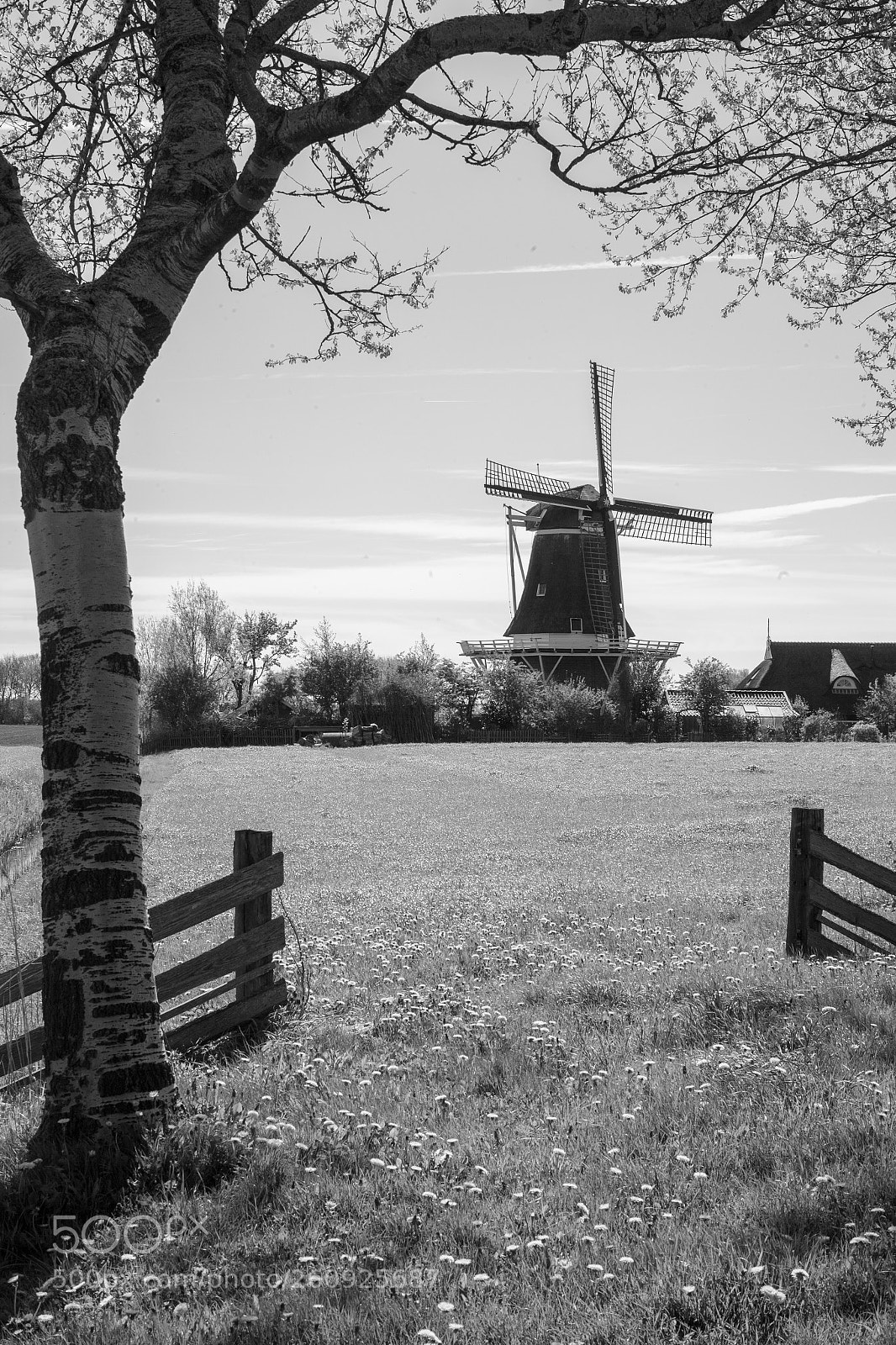 Canon EOS-1Ds Mark II sample photo. Windmill photography