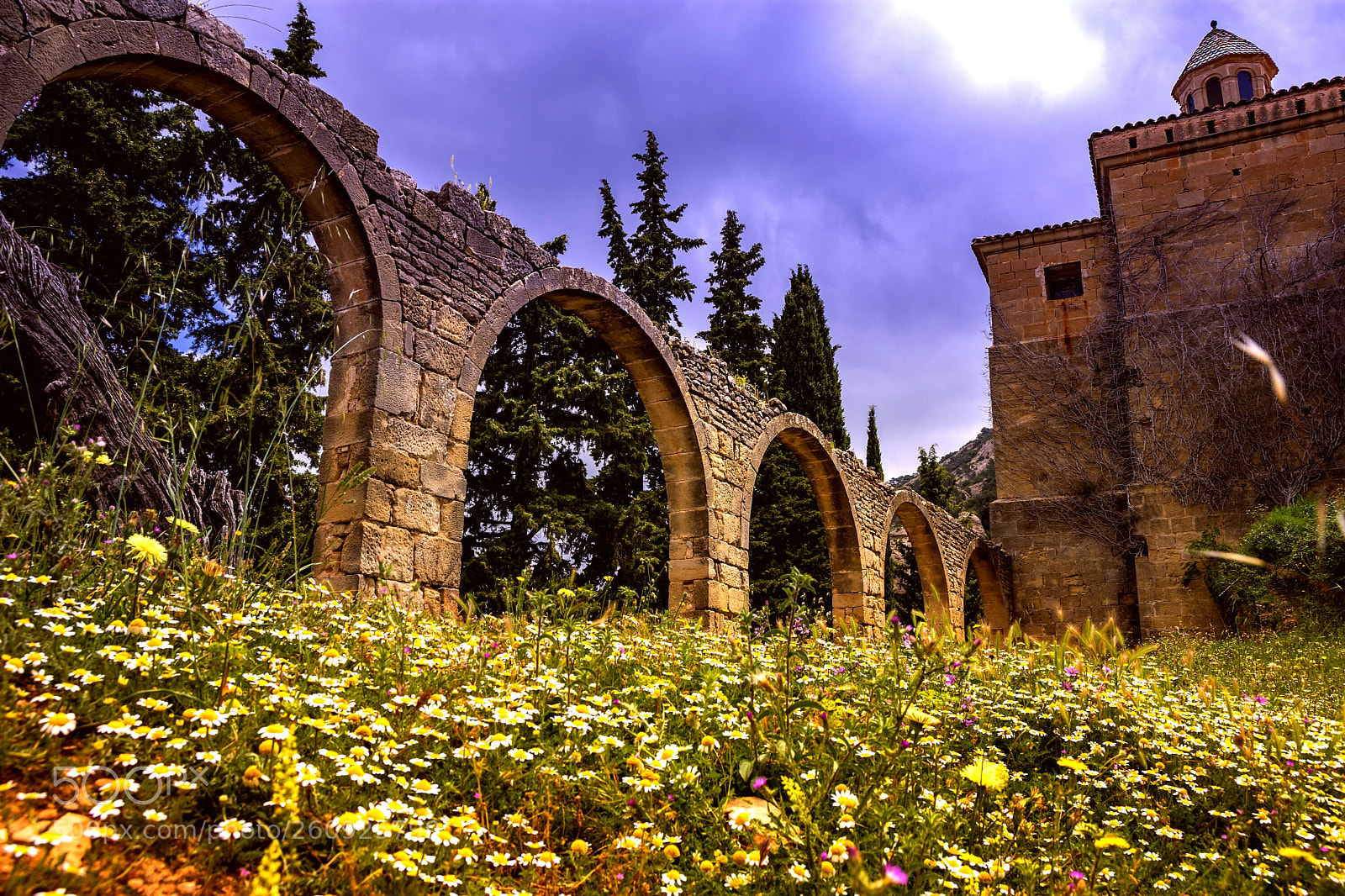 Nikon D7200 sample photo. Monasterio de sant salvador,horta photography