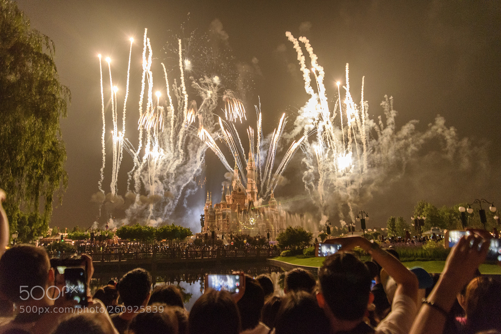 Nikon D750 sample photo. The firework before june photography