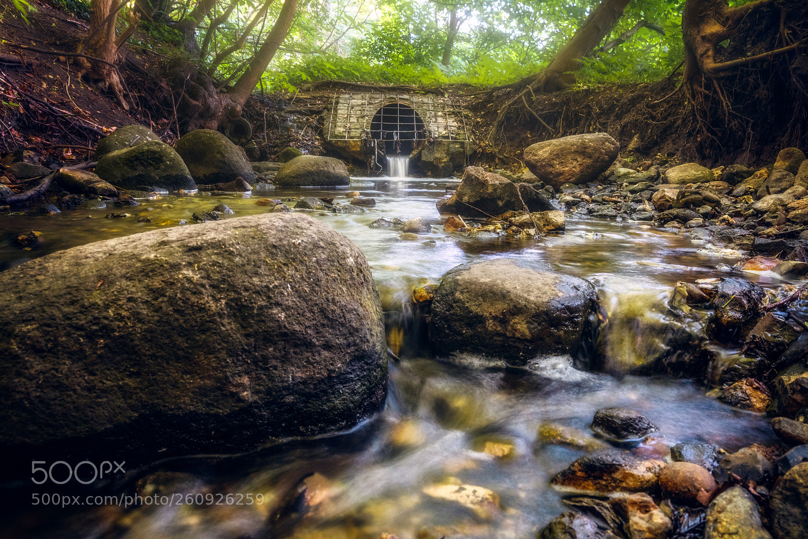 Canon EOS 5D Mark IV sample photo. Drain photography