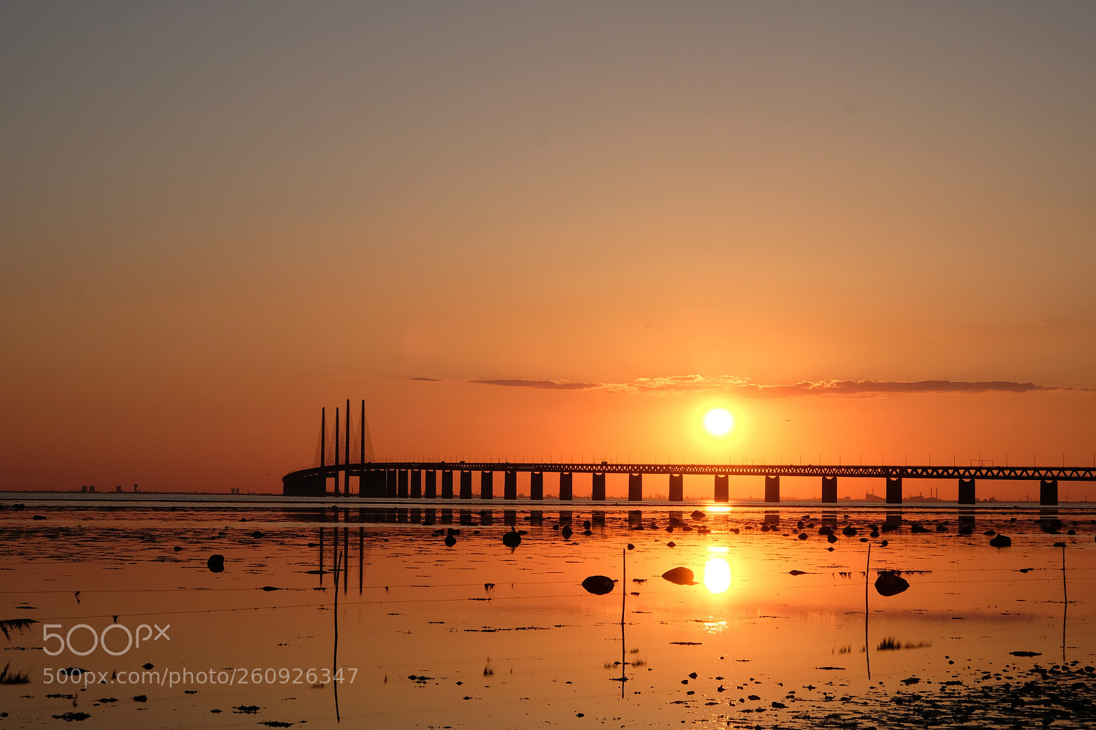 Fujifilm X-T20 sample photo. The bridge photography
