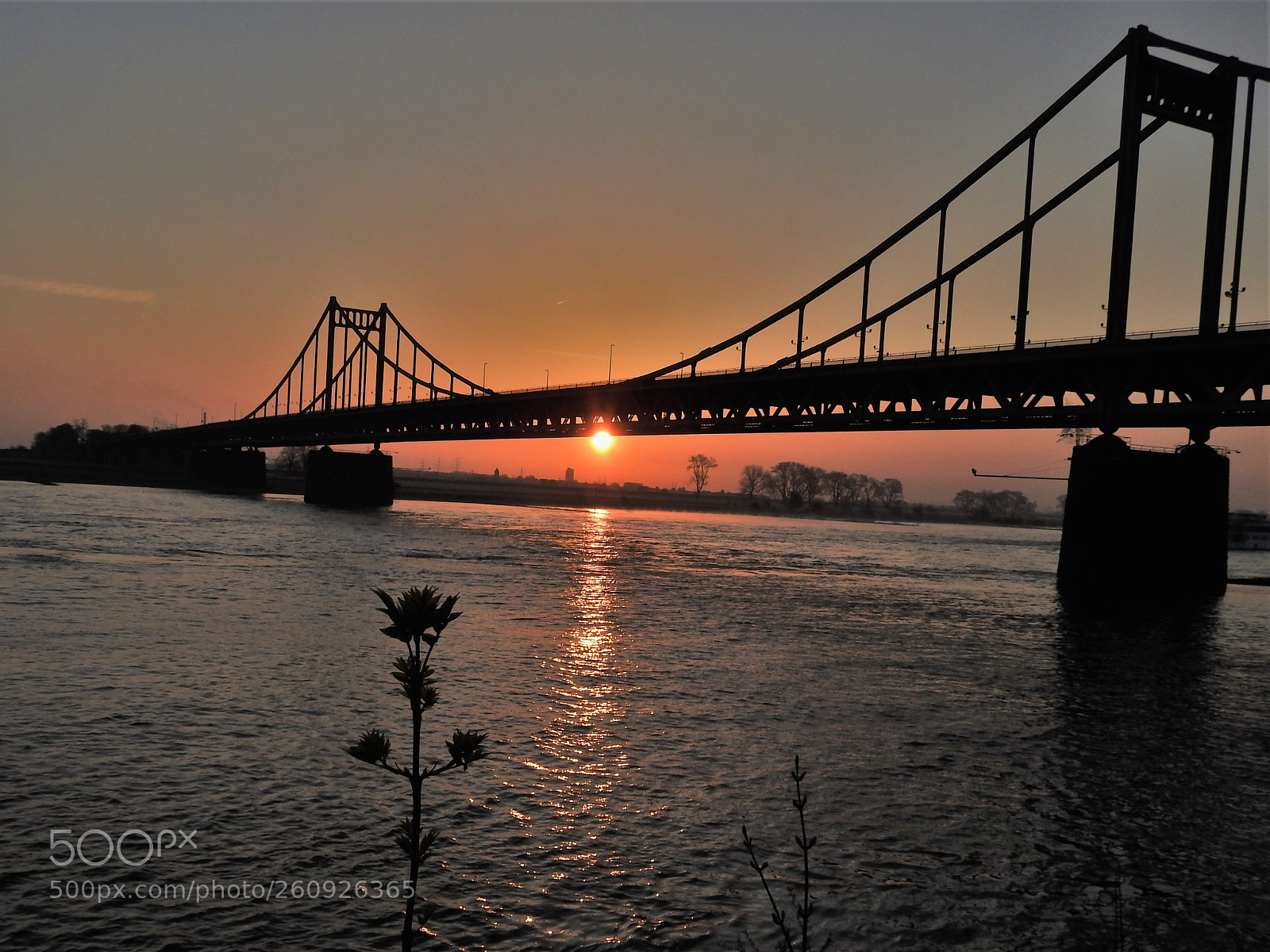 Nikon Coolpix P900 sample photo. Sunrise under the bridge.  photography