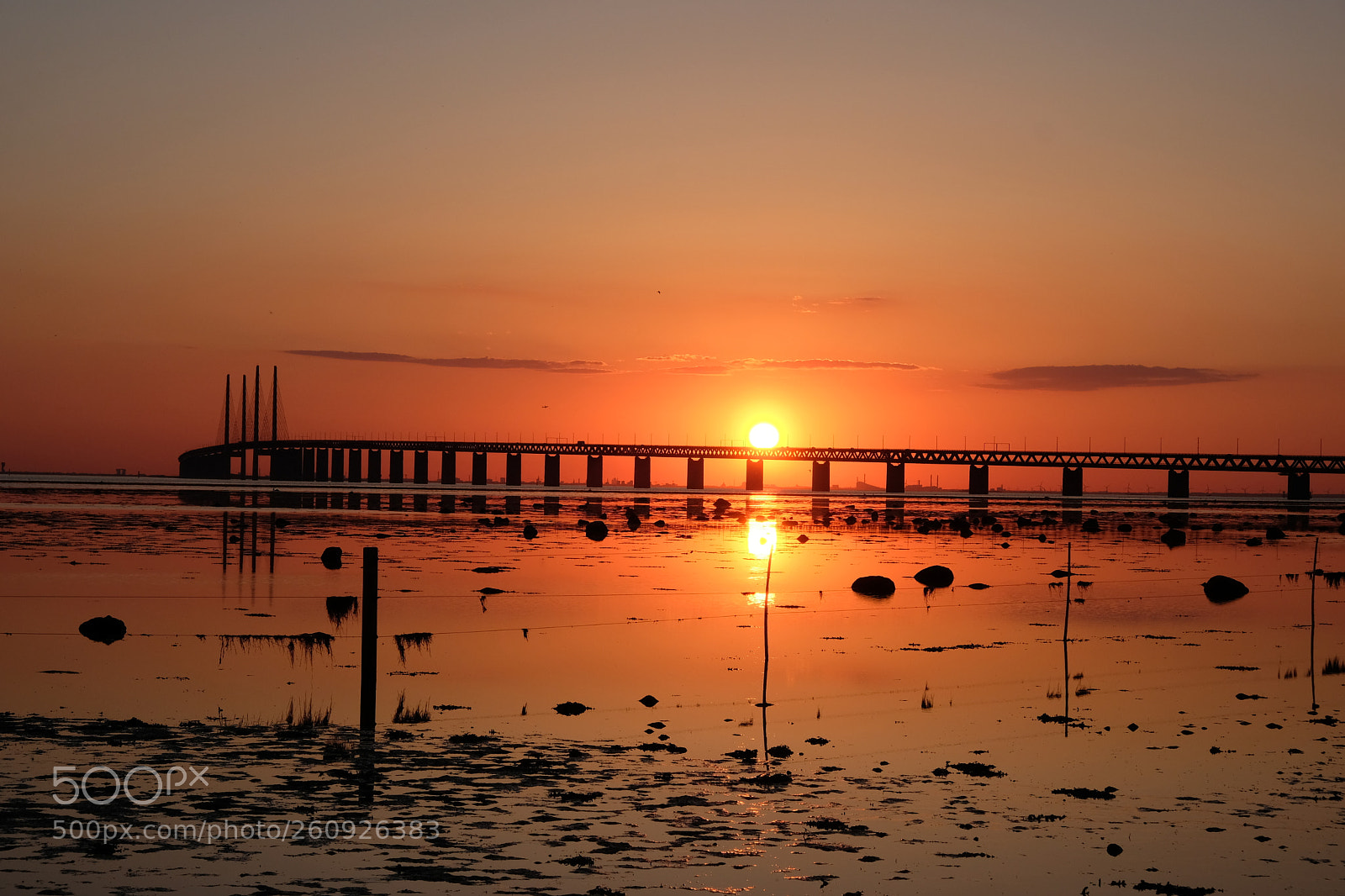 Fujifilm X-T20 sample photo. The bridge photography