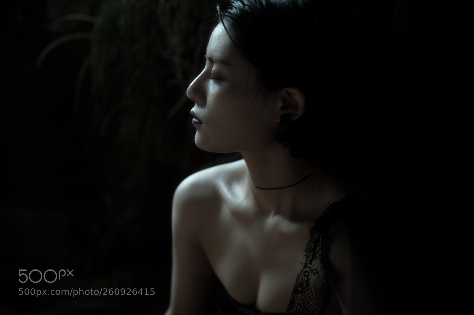 Canon EOS 5D Mark IV sample photo. Untitled photography