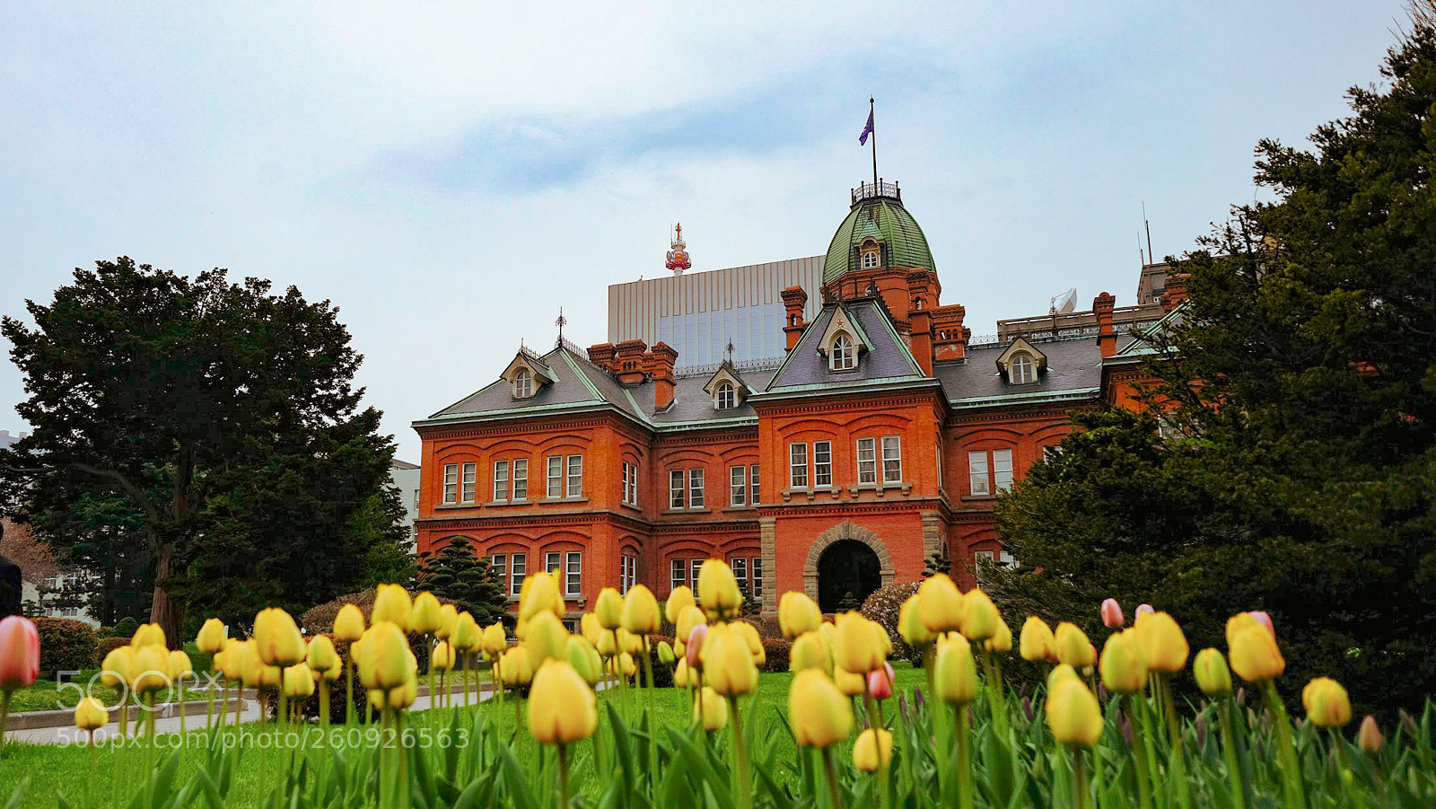 Fujifilm X-T10 sample photo. Hokkaido government office on photography