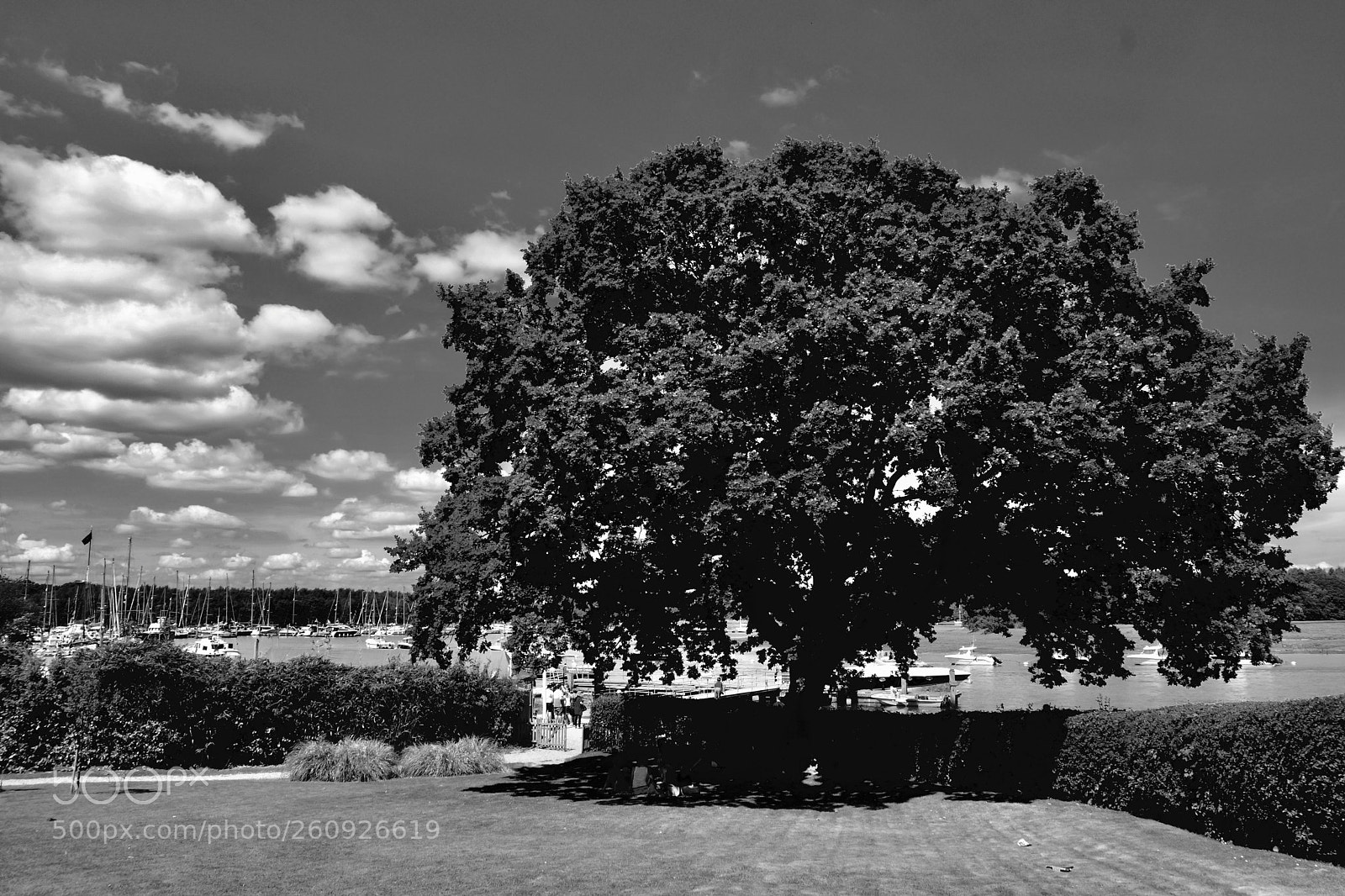 Pentax K-70 sample photo. Summer and an old photography