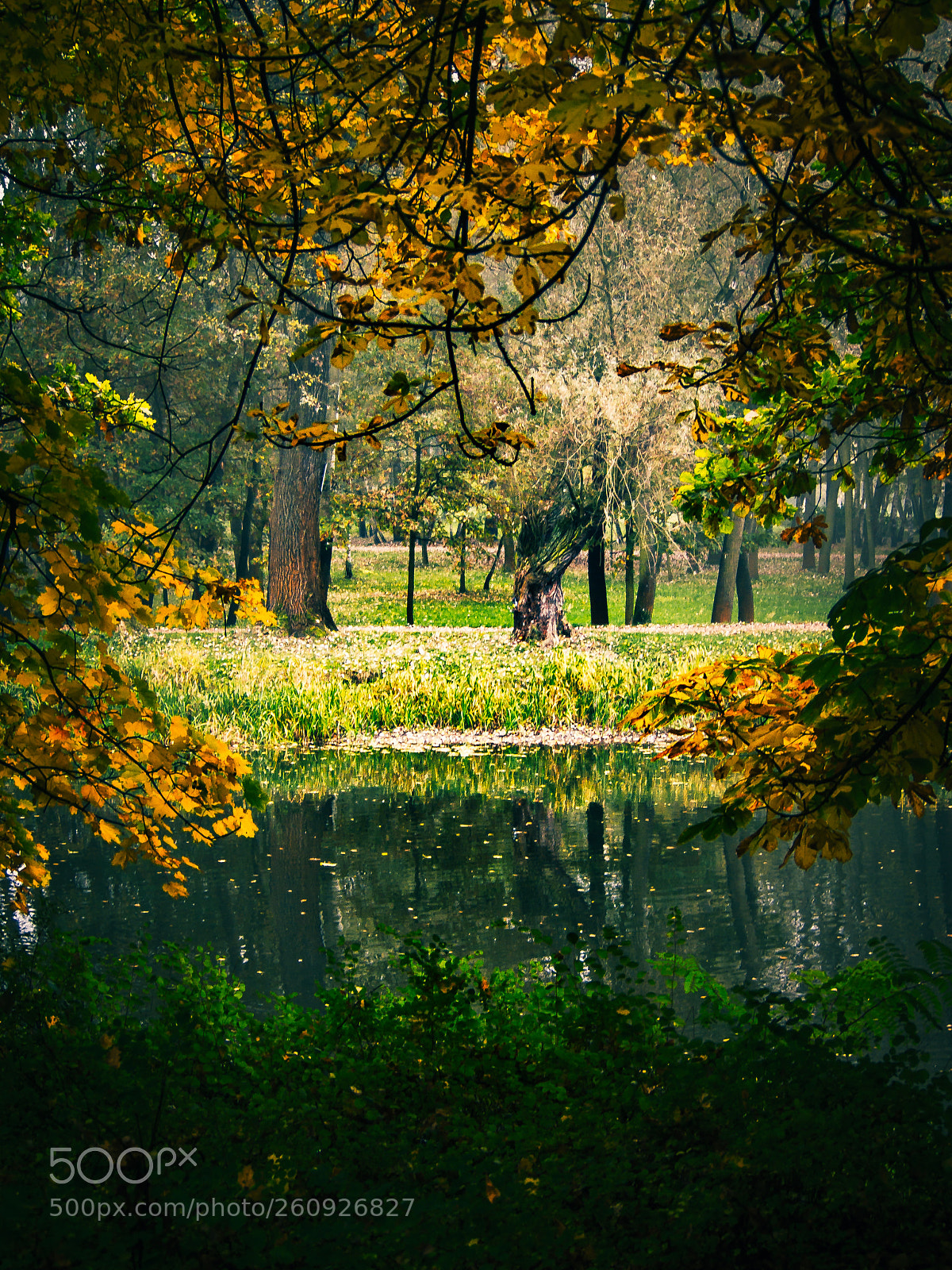Olympus PEN E-PL3 sample photo. Torun, poland photography
