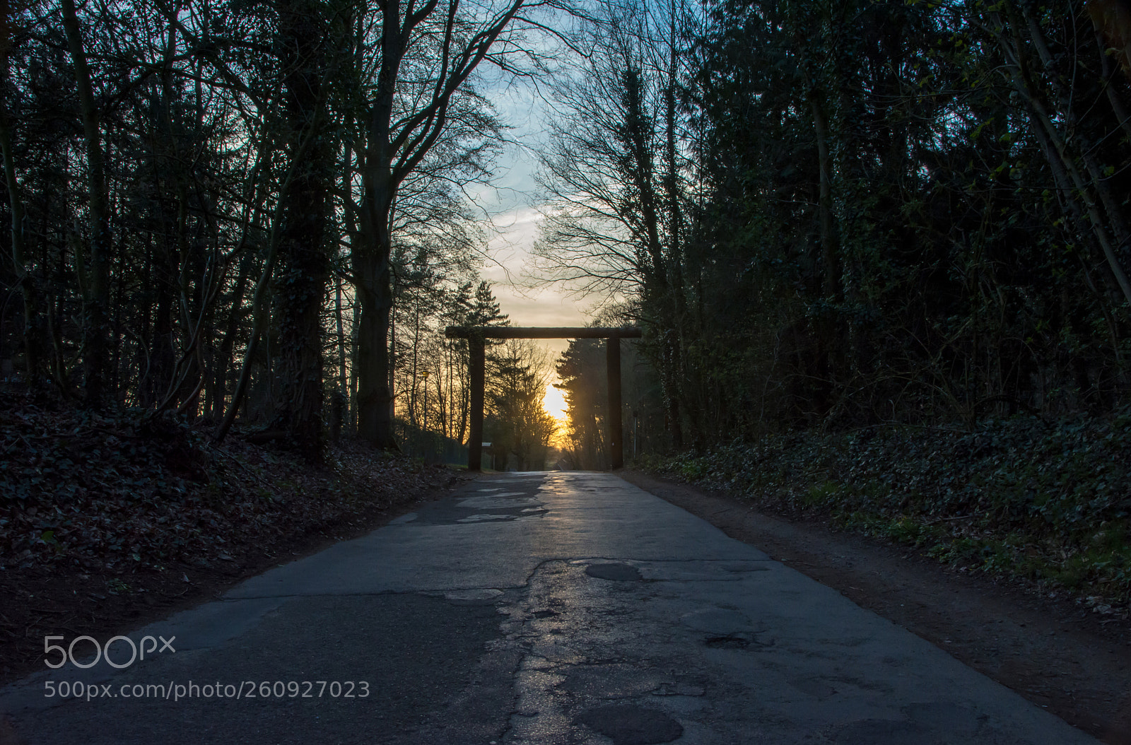 Nikon D5200 sample photo. The gate of hallerbos. photography