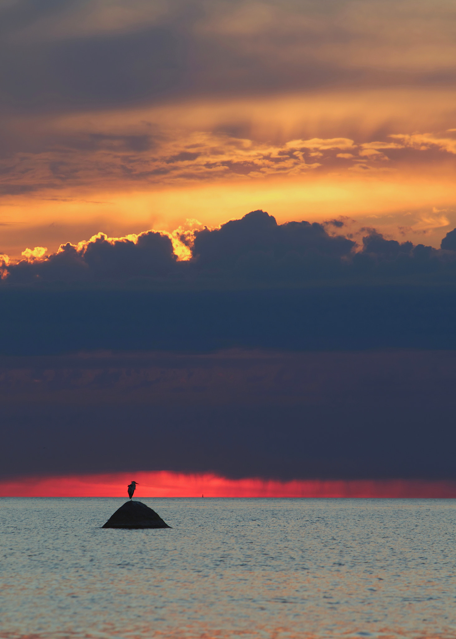 Canon EF 70-200mm F2.8L IS USM sample photo. Closing storm ii photography