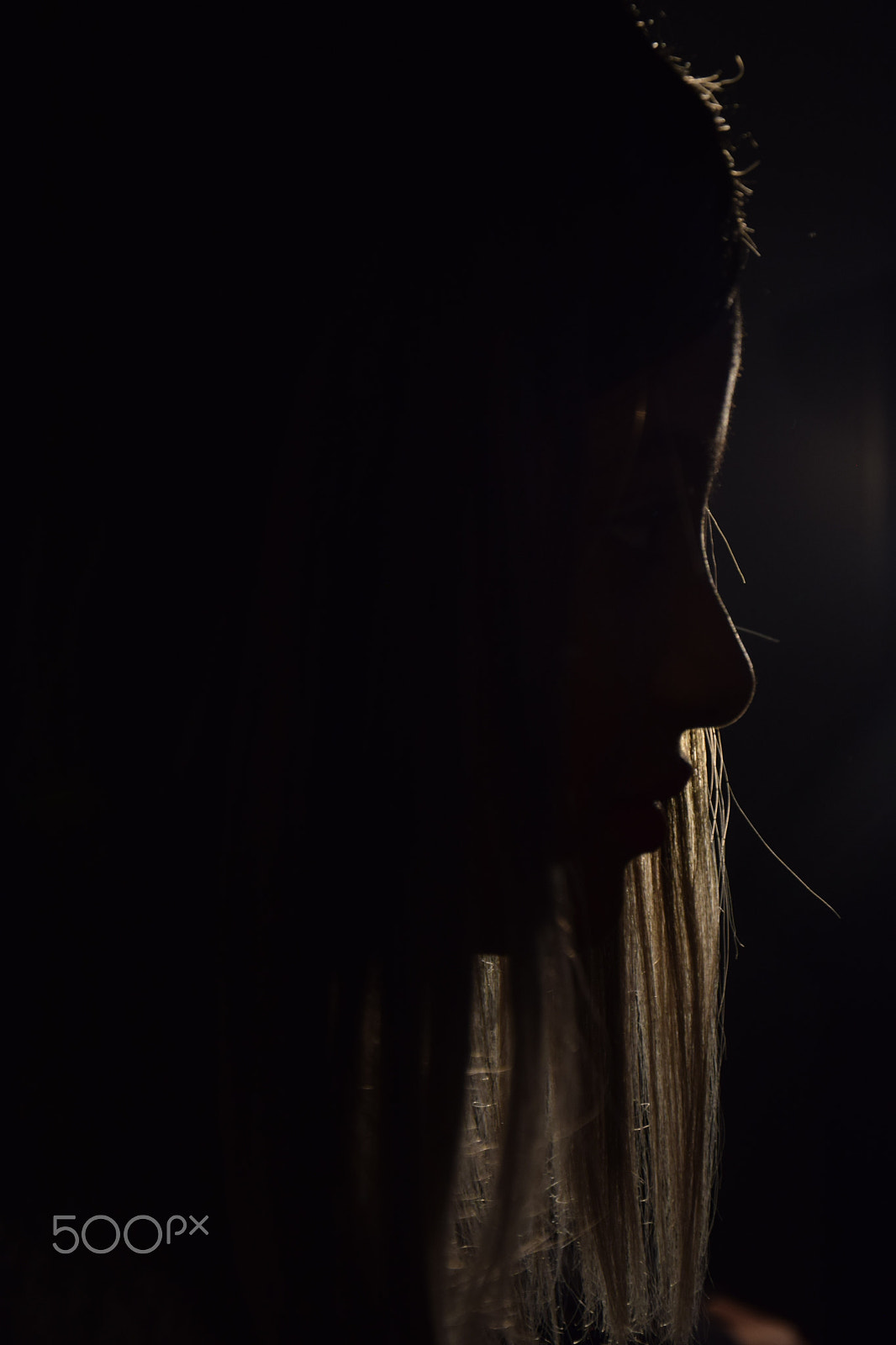 Nikon D3300 sample photo. Silhouette photography